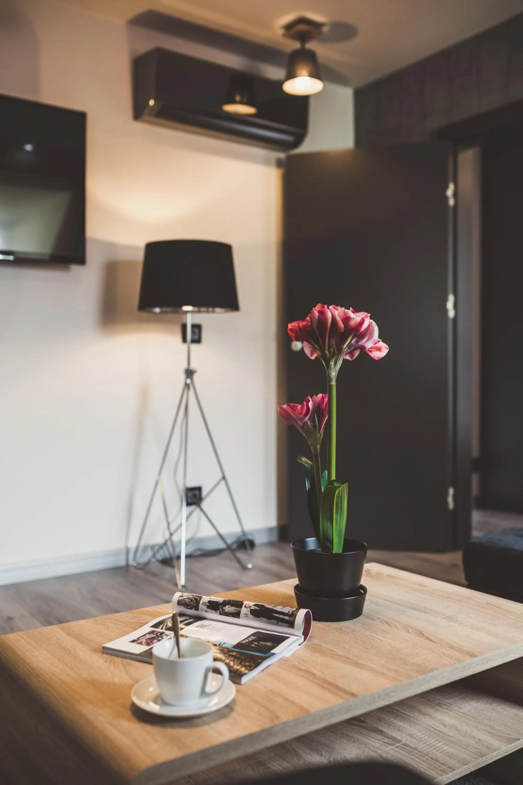 Living room in Aparthotel New Lux