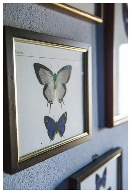 Decorative detail in Al Giardino Degli Etruschi