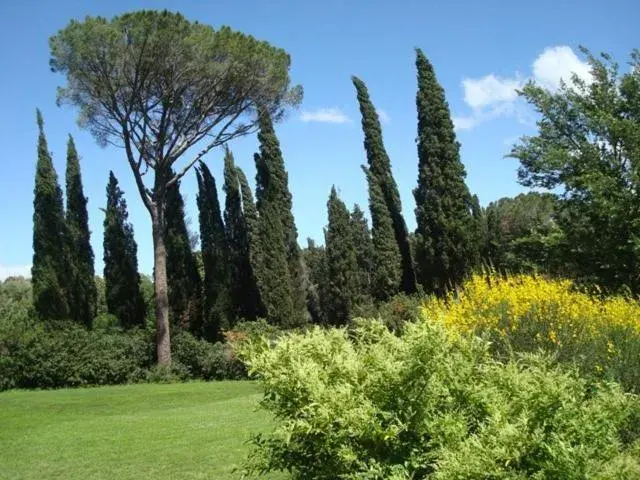 Double Room in Al Giardino Degli Etruschi Double Room in Al Giardino Degli Etruschi