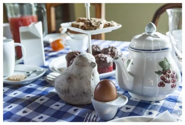 Restaurant/places to eat in Al Giardino Degli Etruschi