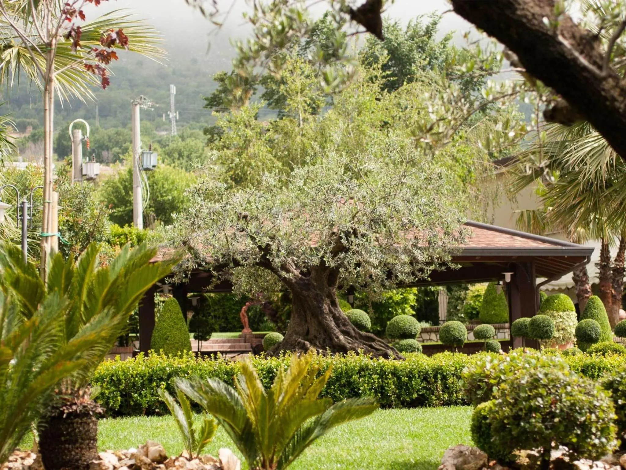 Garden view in La Vigna Hotel