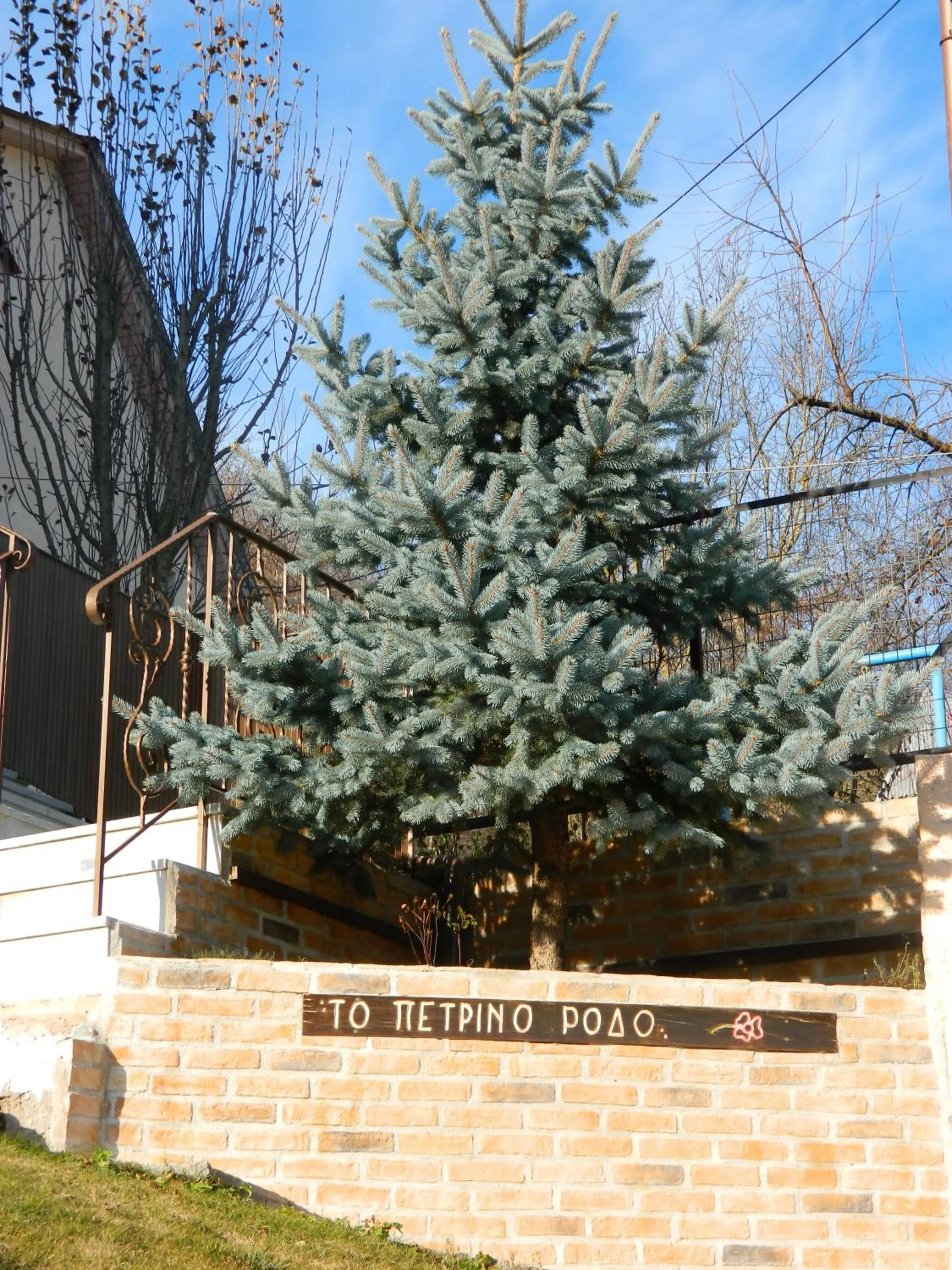 Superior One-Bedroom Apartment (2 Adults) in Petrino Rodo