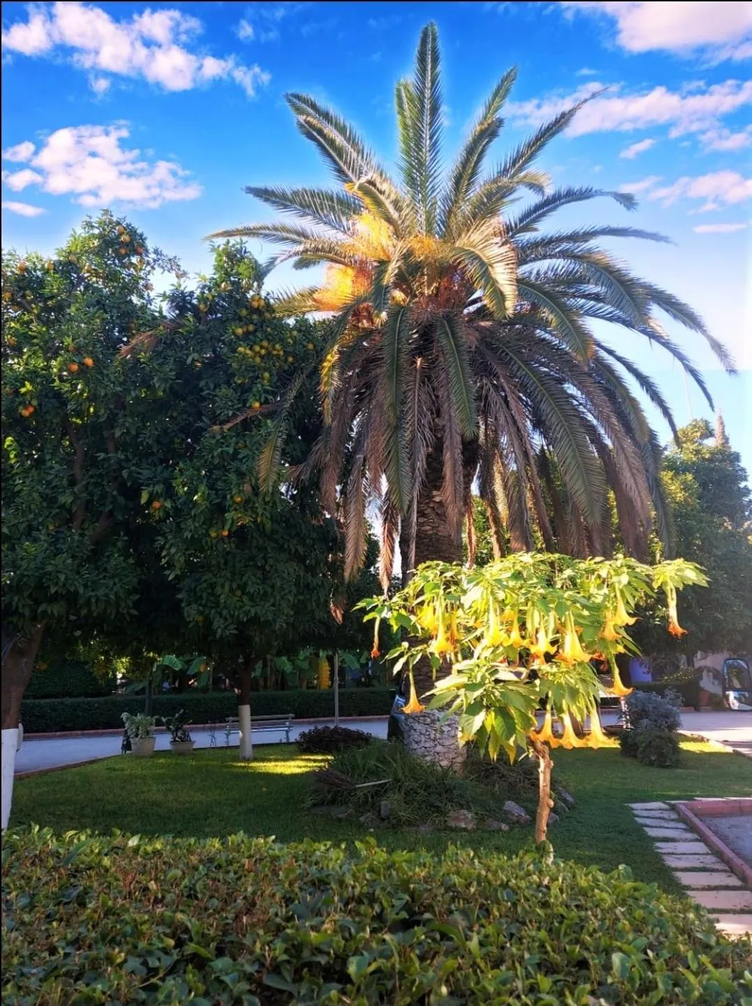 Natural landscape in Çetinel Otel
