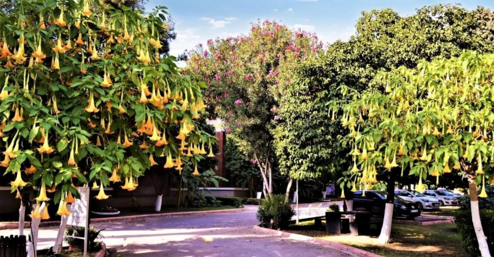 Natural landscape in Çetinel Otel