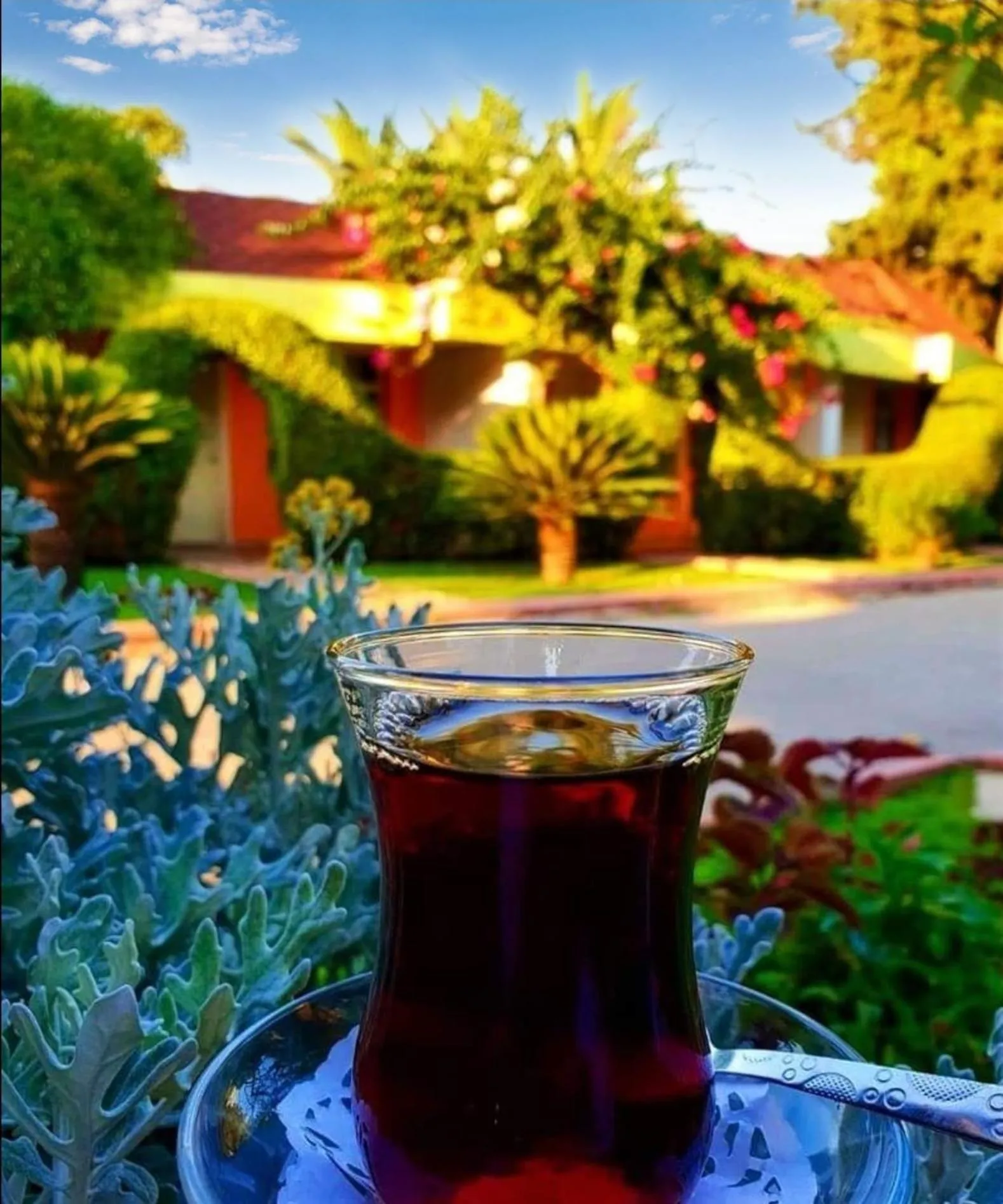 Garden in Çetinel Otel