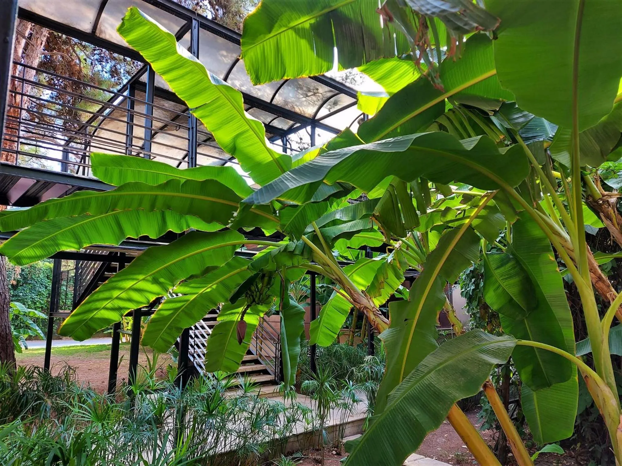 Garden in Çetinel Otel