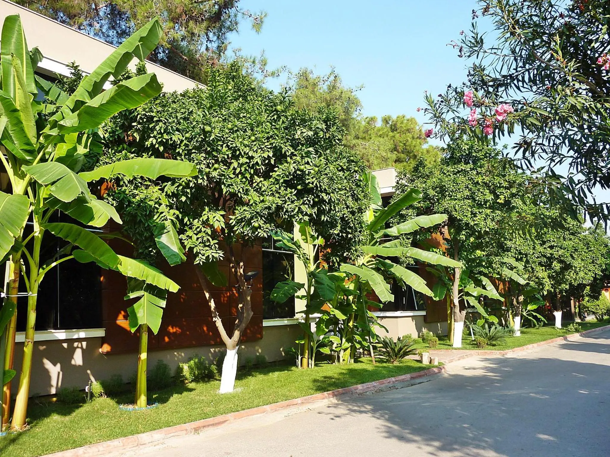 Property building in Çetinel Otel