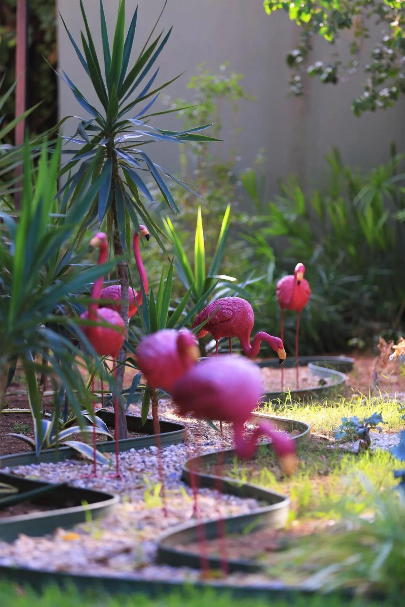 Garden in Çetinel Otel