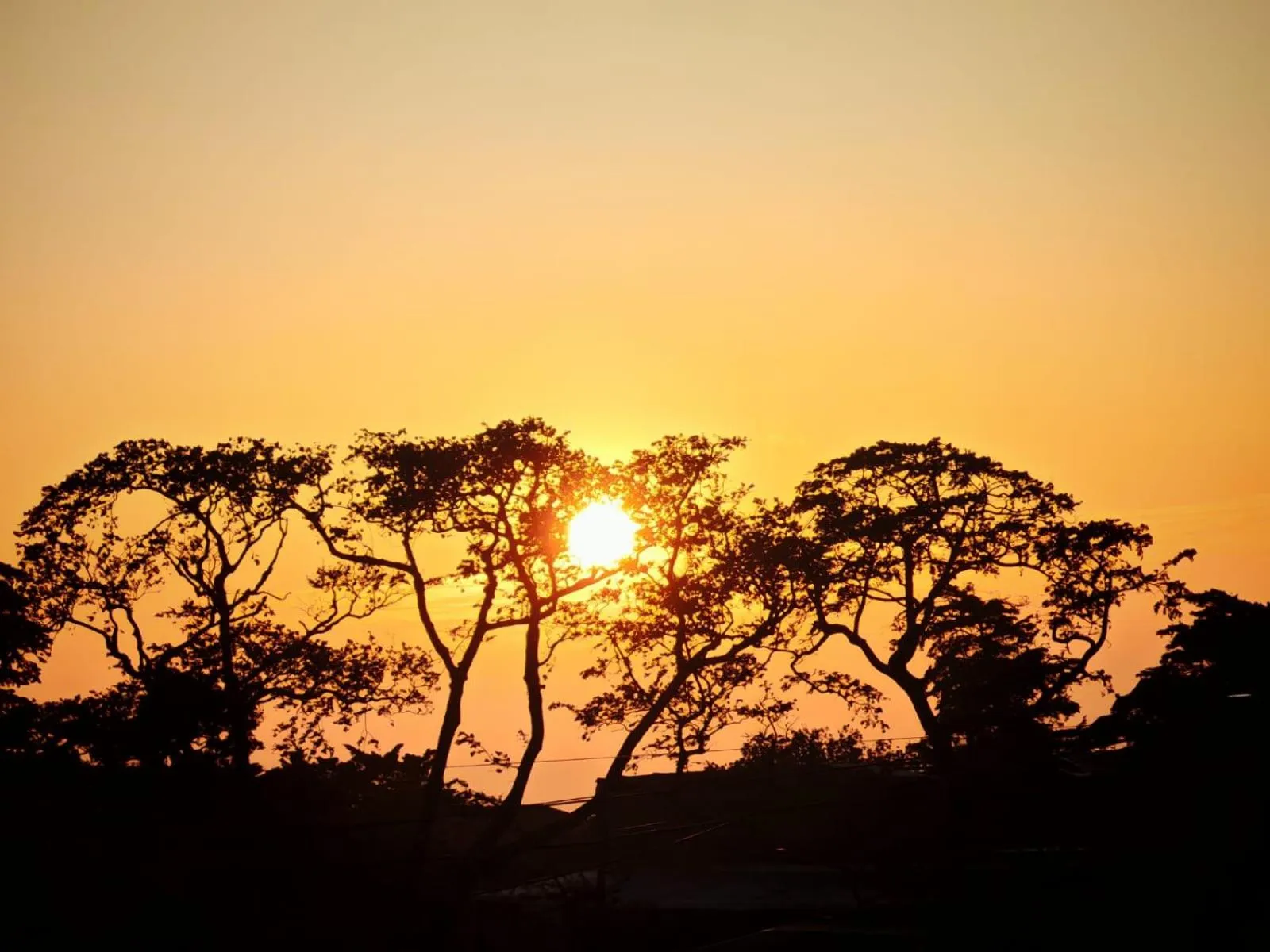Sunset in Hotel las Ardillas Monteverde