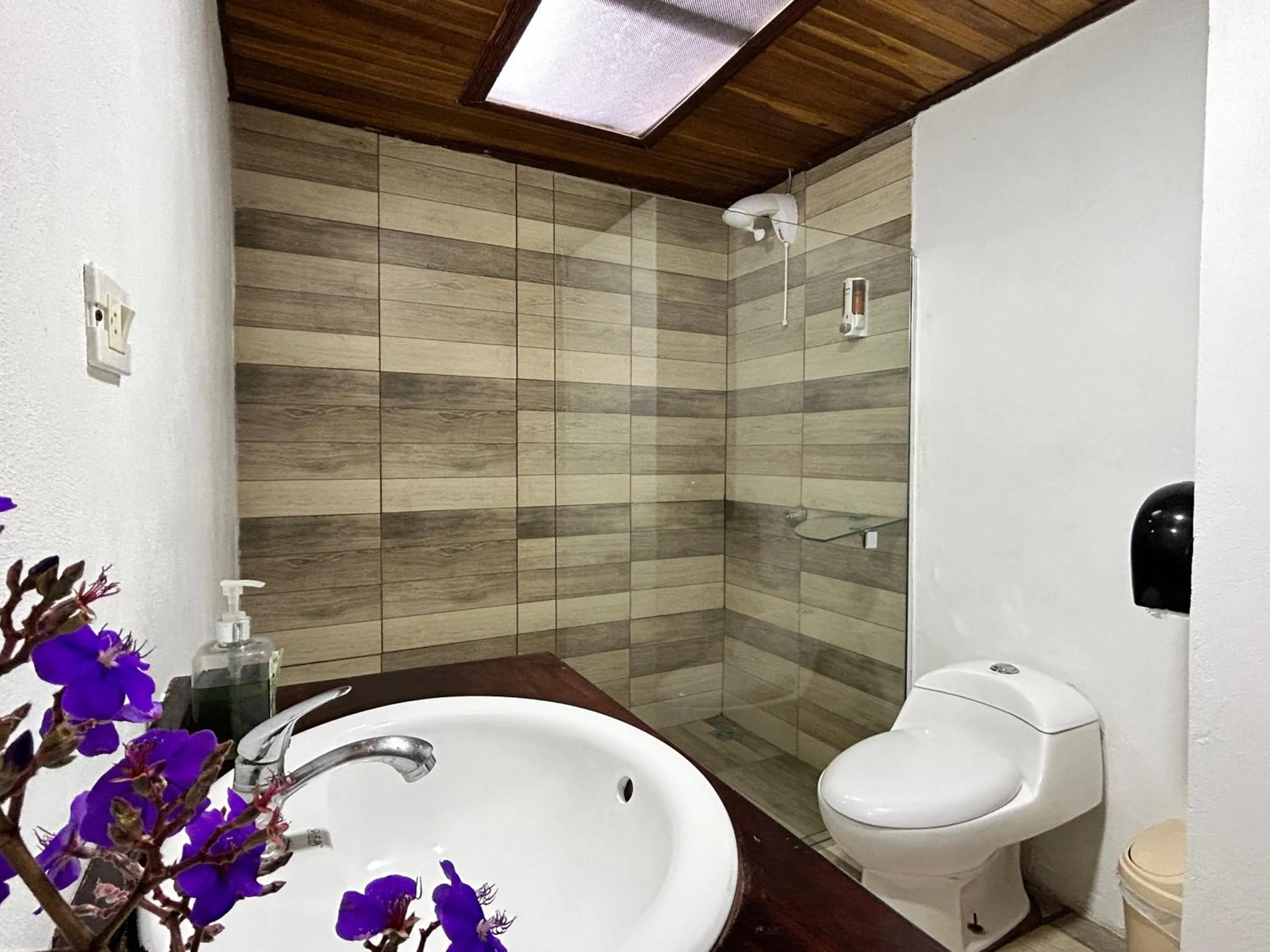 Bathroom in Hotel las Ardillas Monteverde