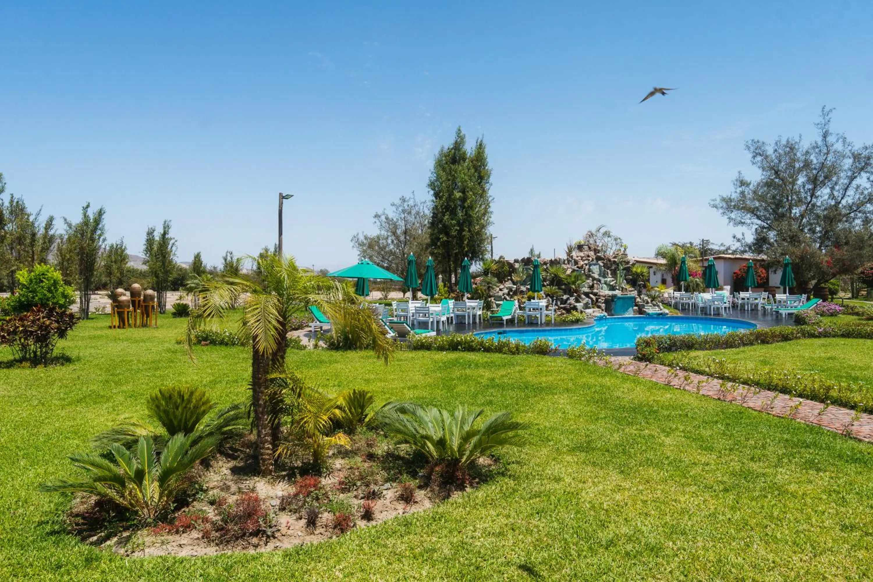 Swimming pool in Casa Hacienda Nasca Oasis