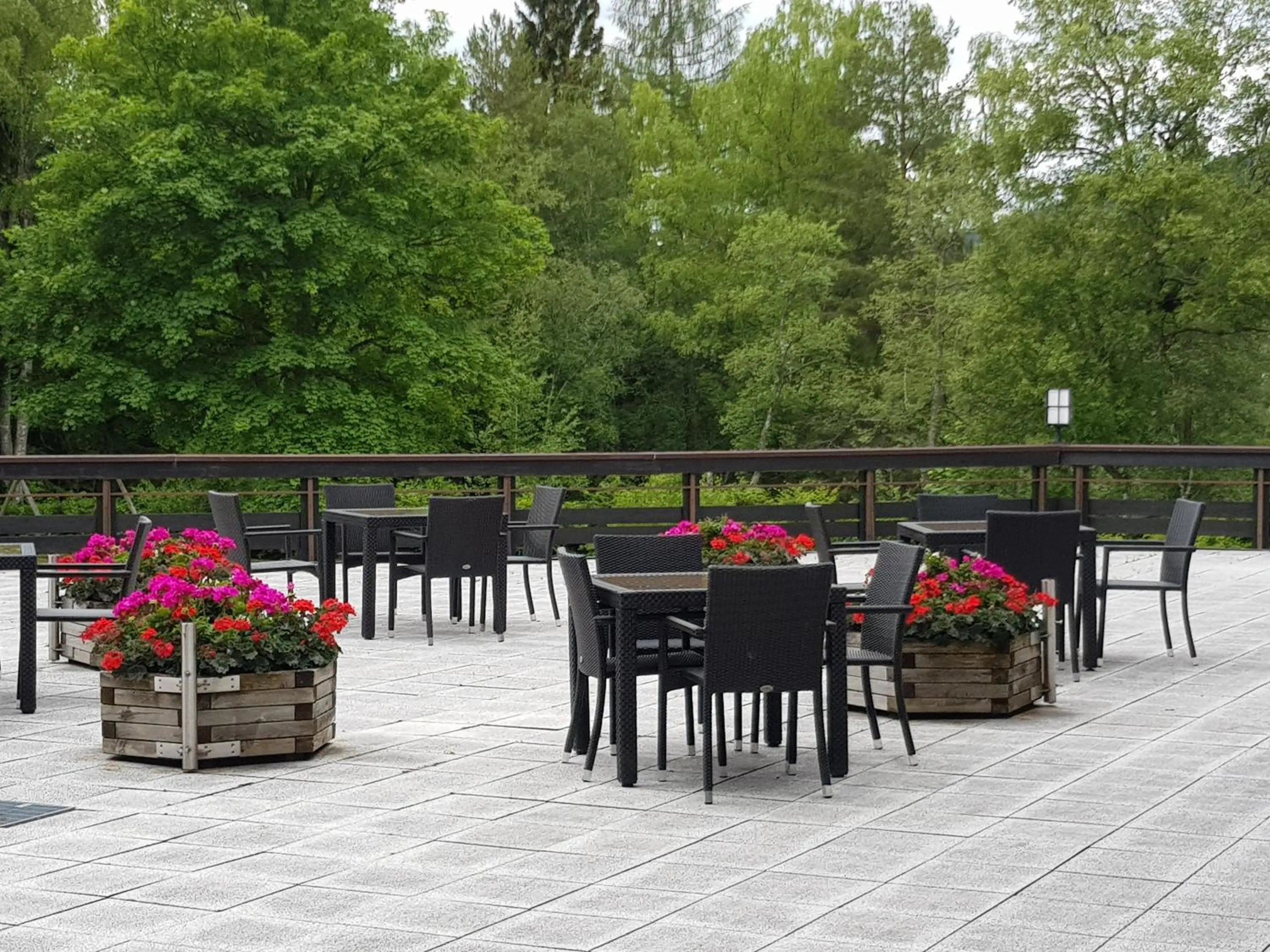 Patio in Appartmenthaus Birkenwald