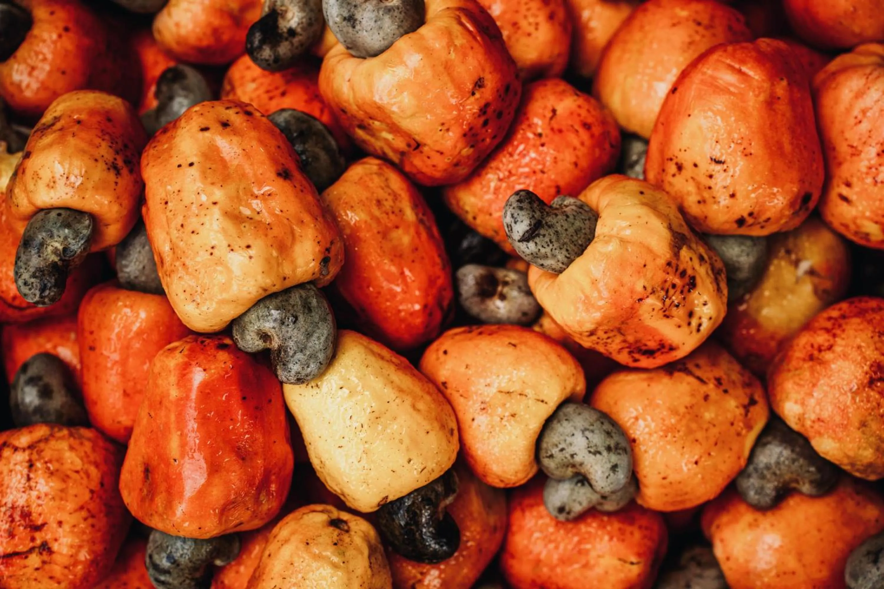 Food in Estalagem D'Ajuda