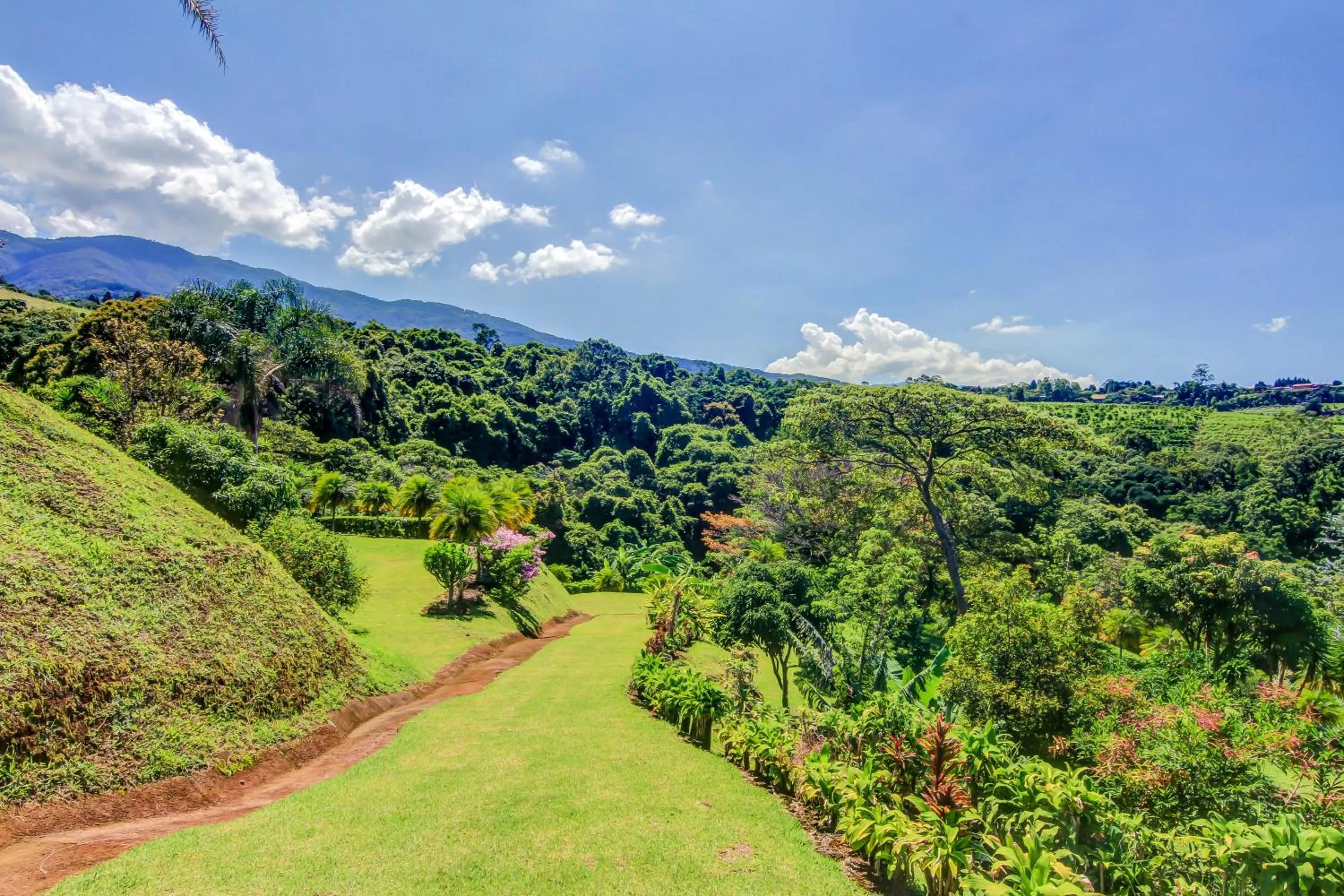 Garden in Hotel Mango Valley