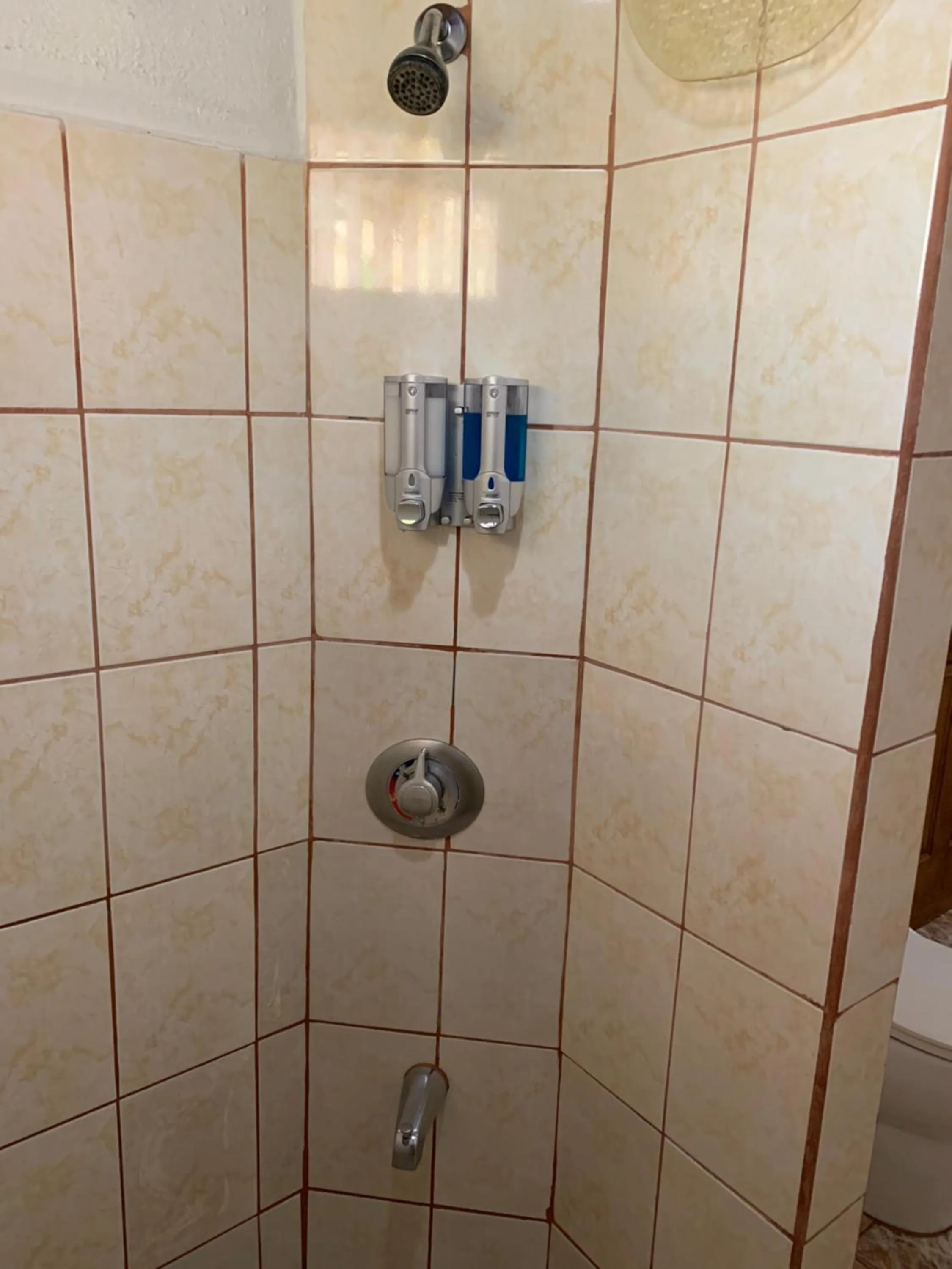 Bathroom in Hotel Mango Valley