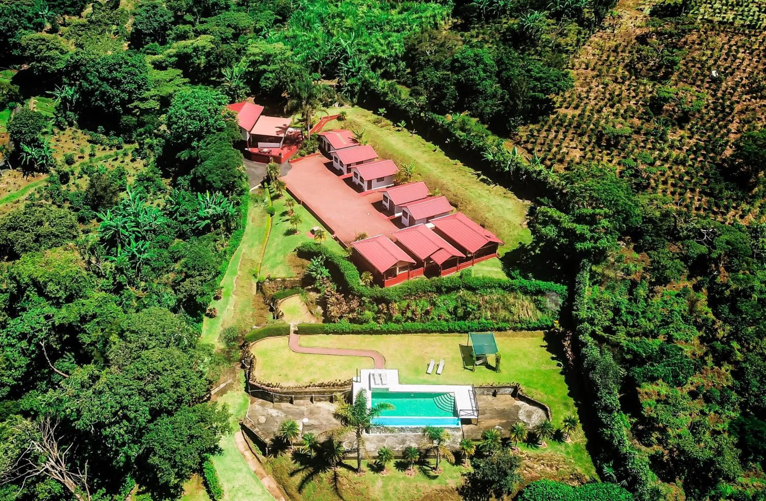 Bird's eye view in Hotel Mango Valley