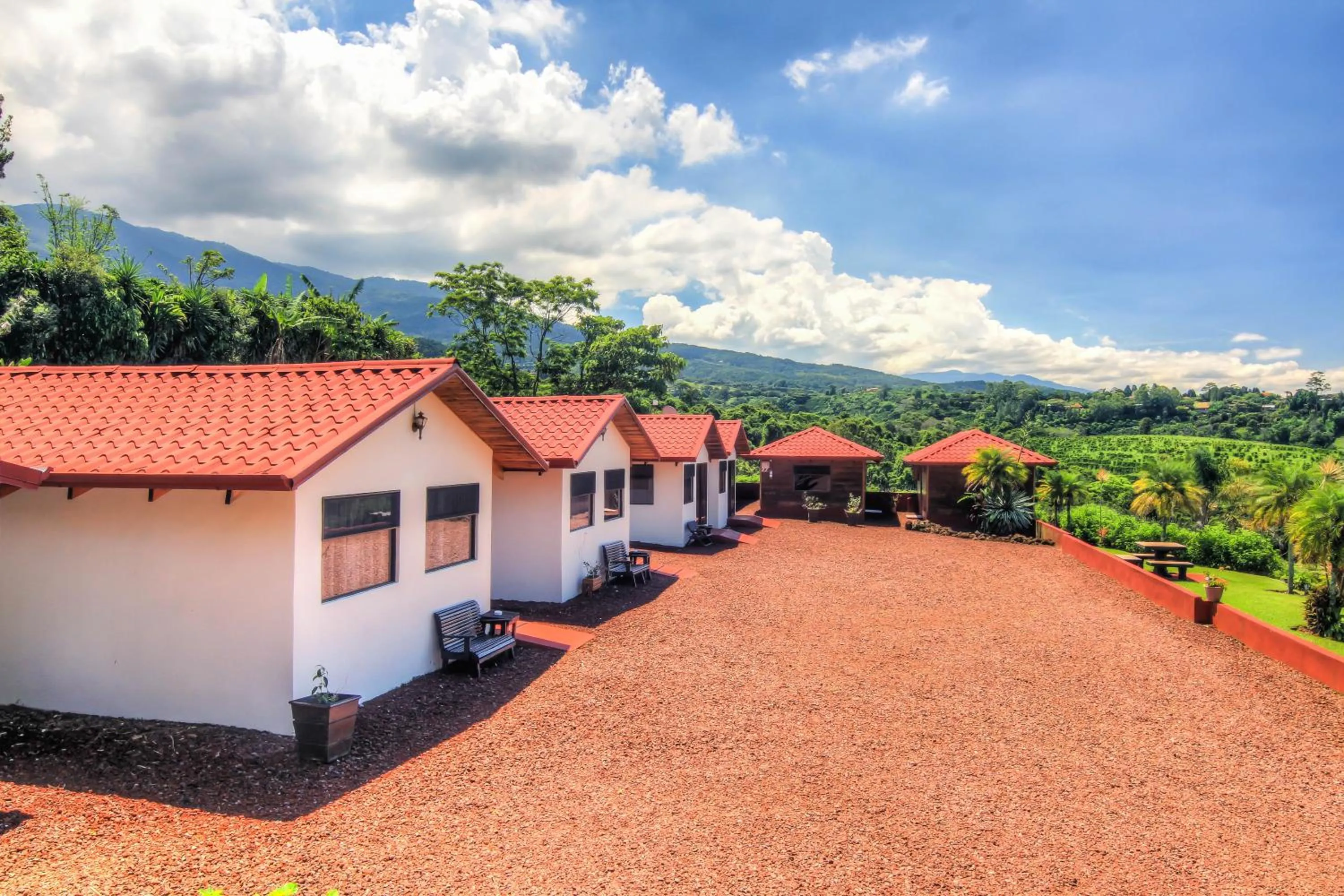Area and facilities in Hotel Mango Valley
