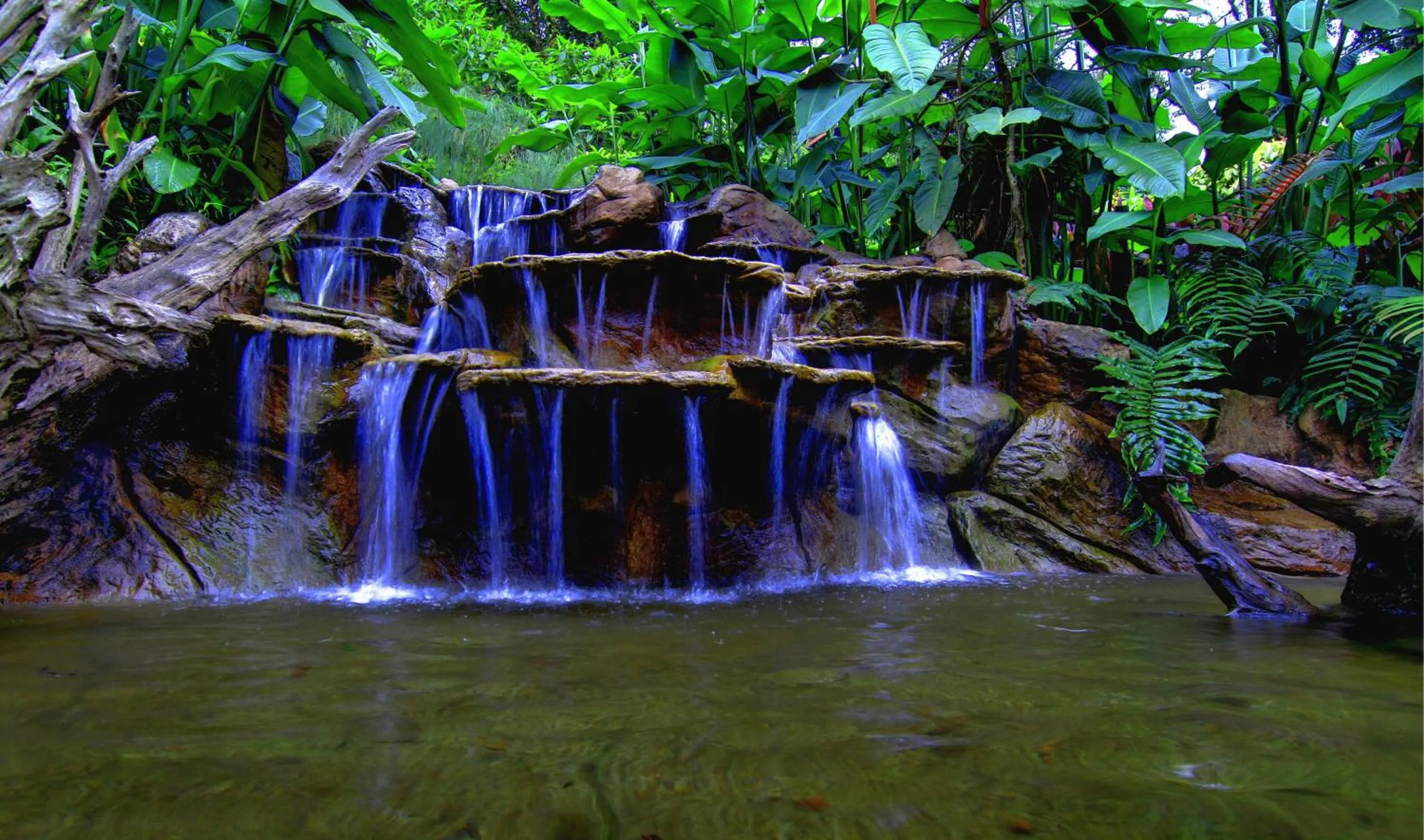 Area and facilities in Hotel Mango Valley