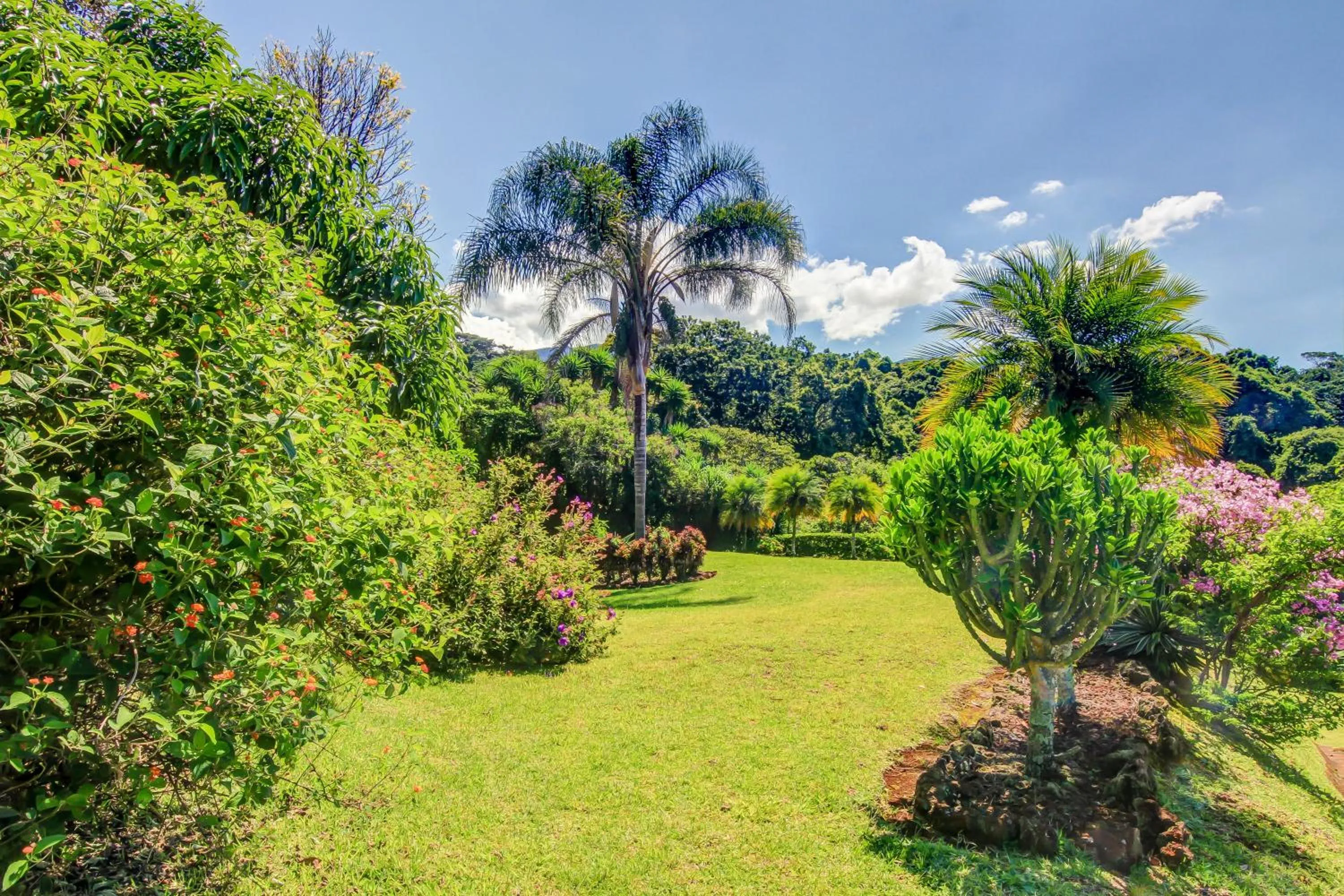 Garden in Hotel Mango Valley