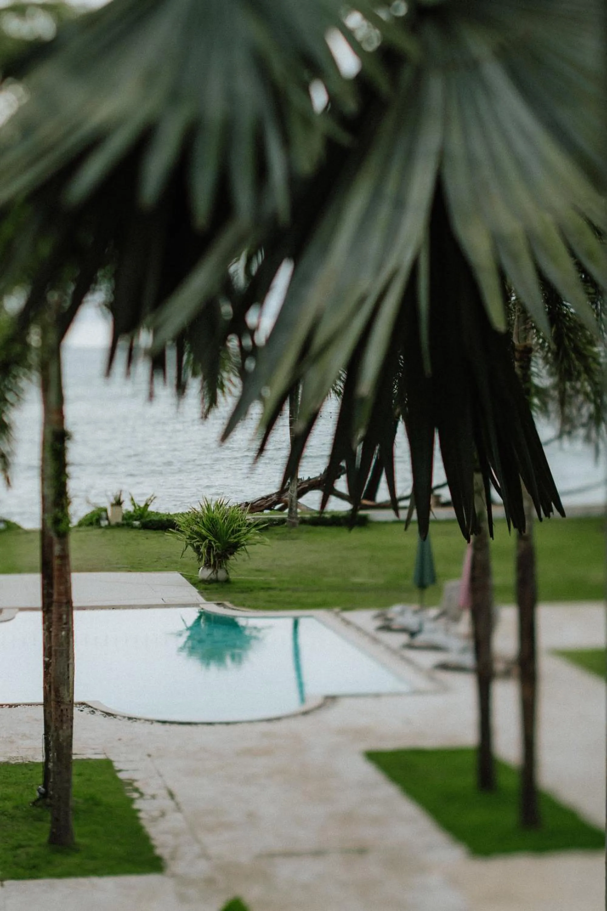 Natural landscape in The Anda Mani Khaolak Beachfront Villas - Adult only