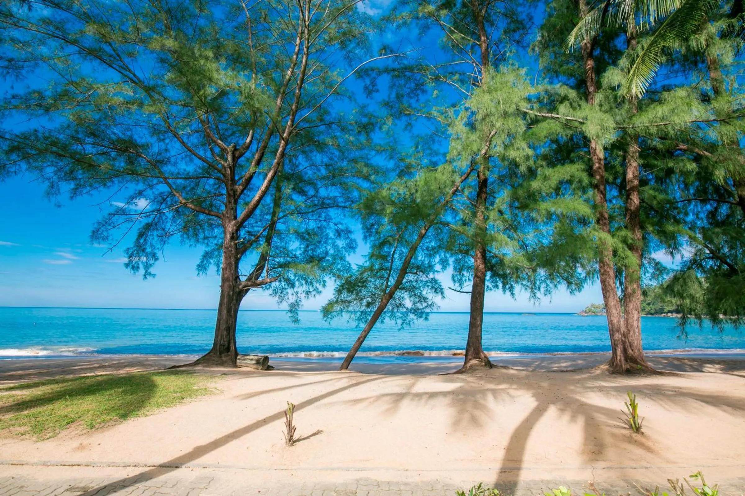 Beach in The Anda Mani Khaolak Beachfront Villas - Adult only