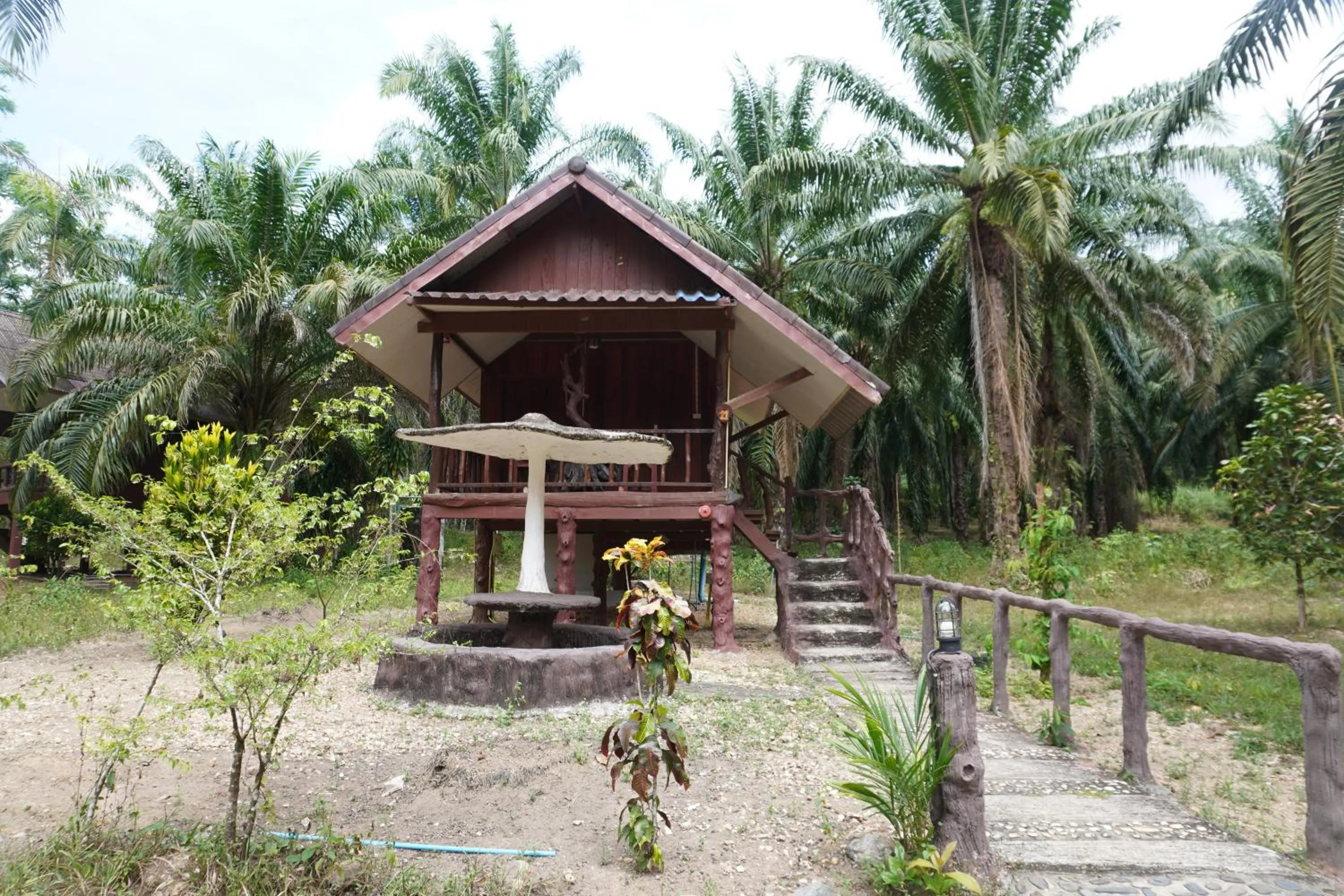 Property building in Khao Sok Palmview Resort