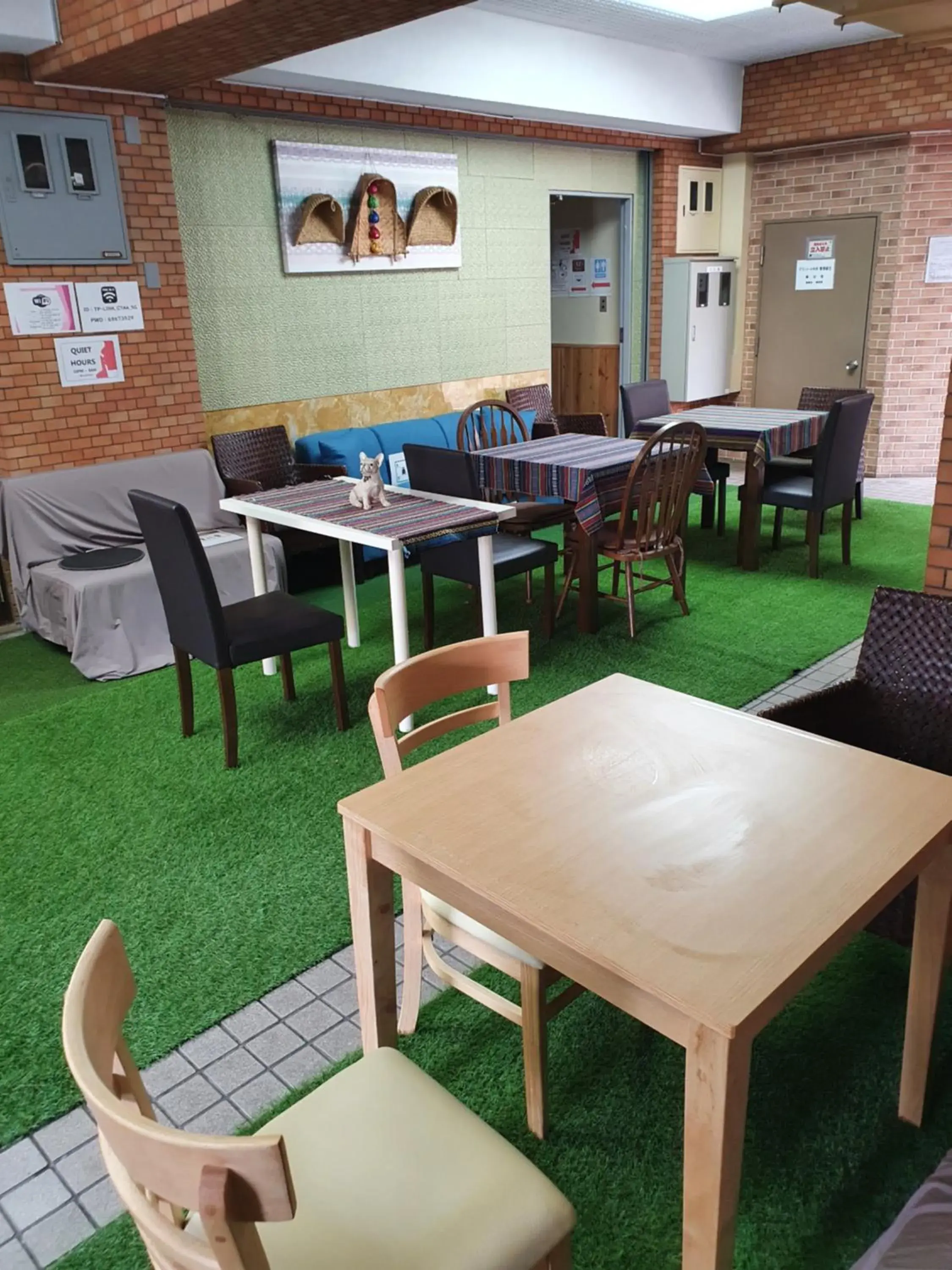 Bunk Bed in Female Dormitory Room in Shinjuku Sky hostel Bunk Bed in Female Dormitory Room in Shinjuku Sky hostel