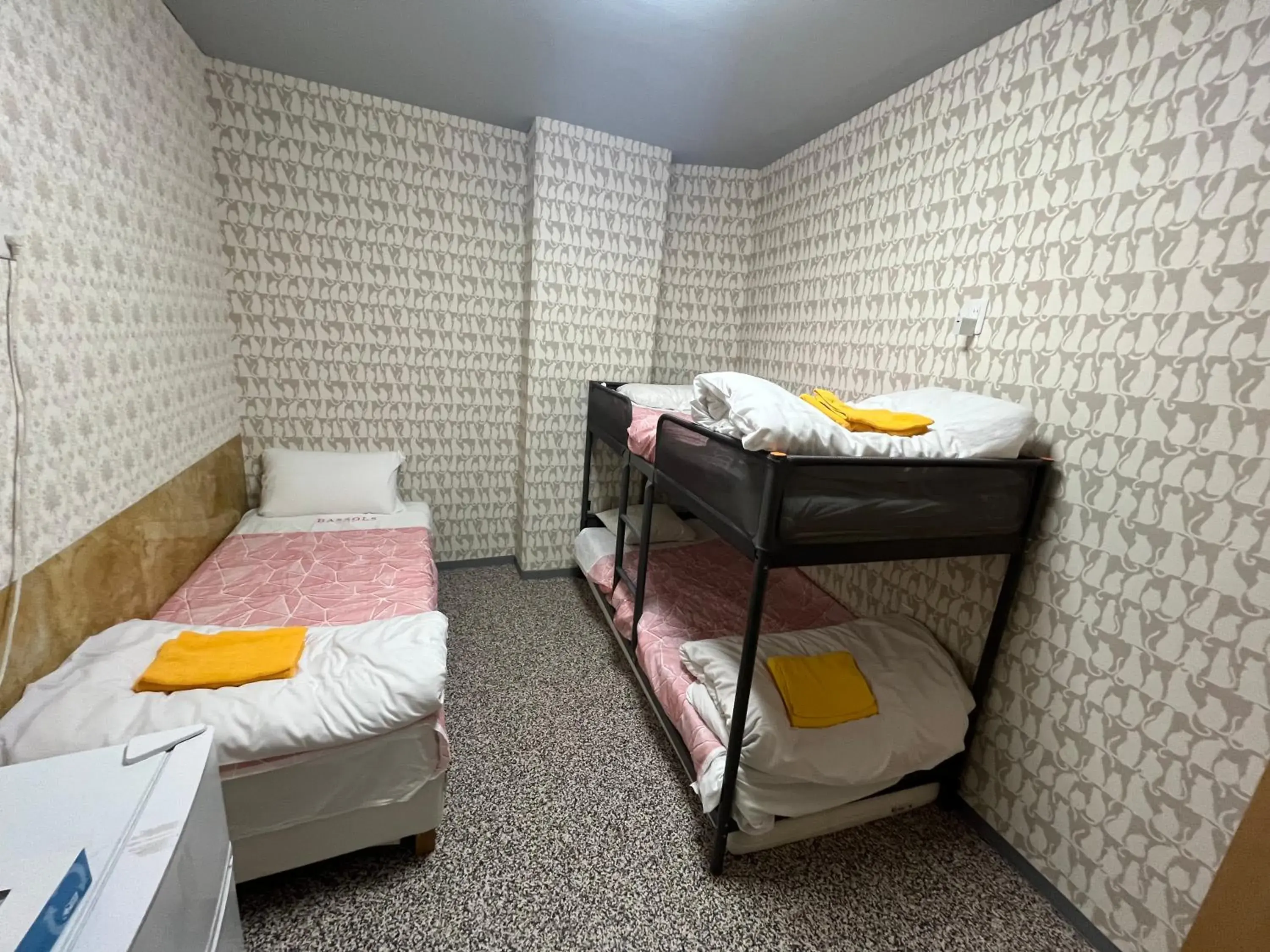 Triple Room with Shared Bathroom in Shinjuku Sky hostel Triple Room with Shared Bathroom in Shinjuku Sky hostel