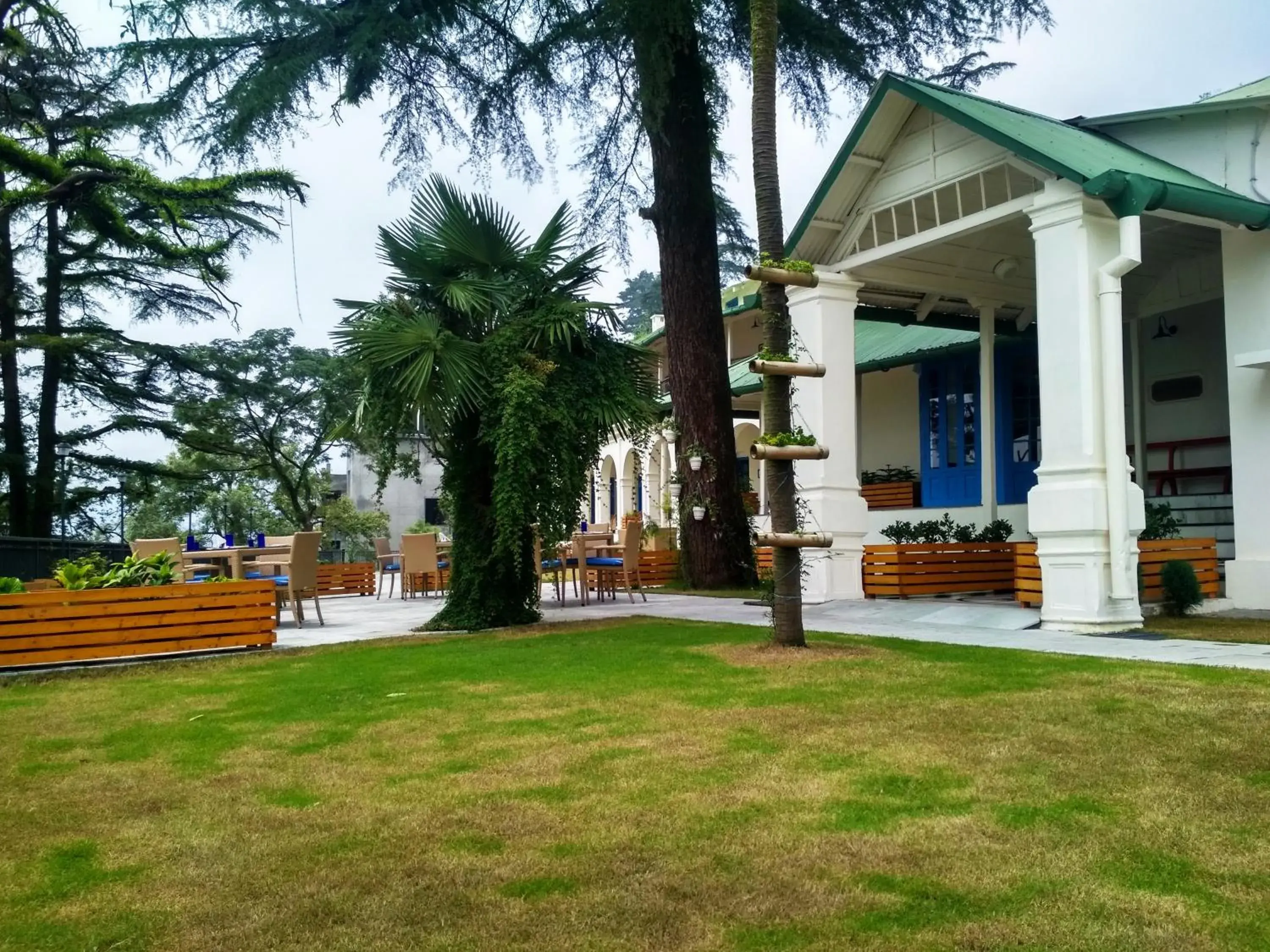 Hotel Pine Retreat Mallroad Hotel Pine Retreat Mallroad