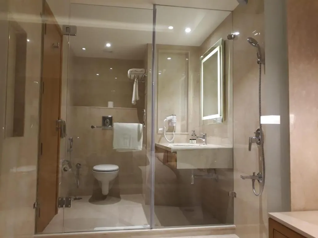 Bathroom in Nataraj Sarovar Portico