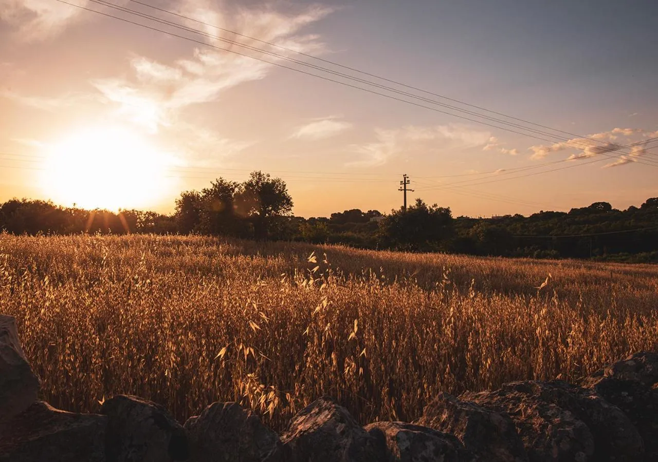 Natural landscape in Poggio degli Ulivi
