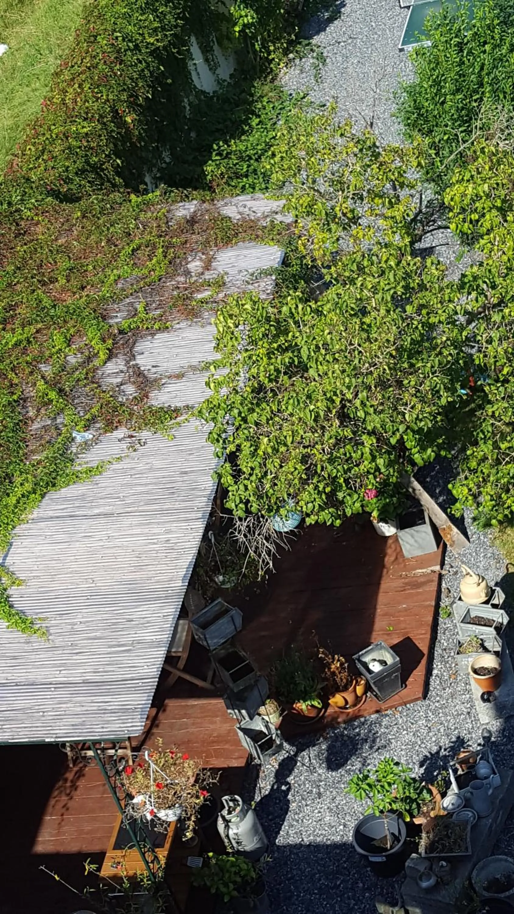 Swimming pool in B&B Le Bonimenteur