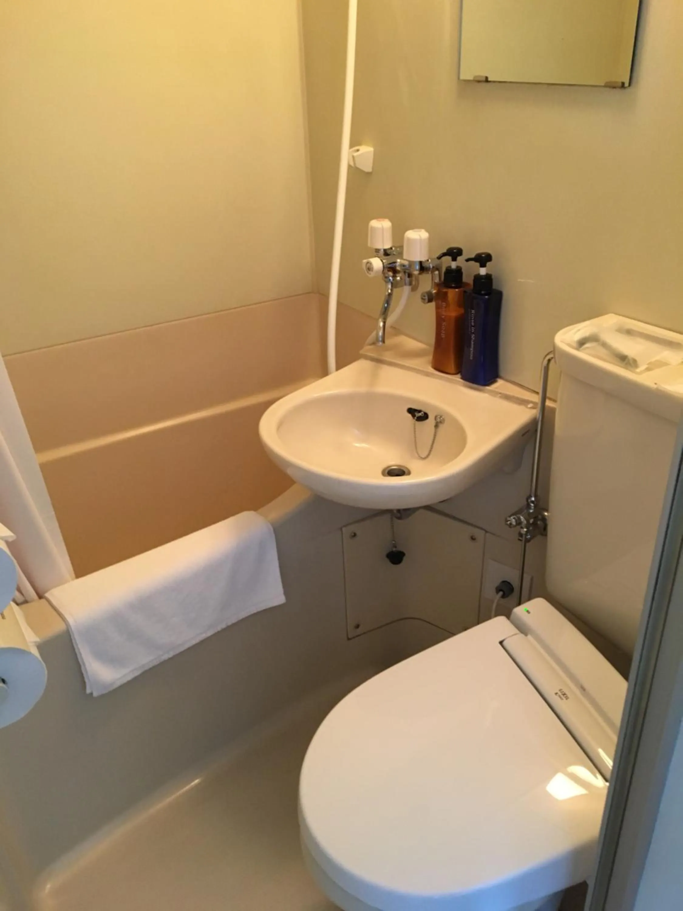 Photo of the whole room in Hotel Tetora Asahikawa Station