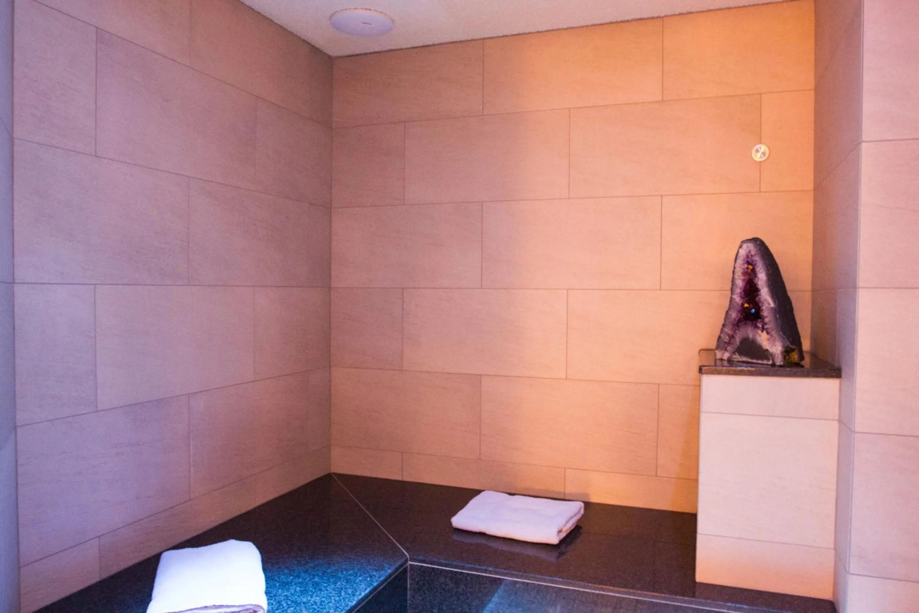 Spa and wellness centre/facilities in Hotel Albona