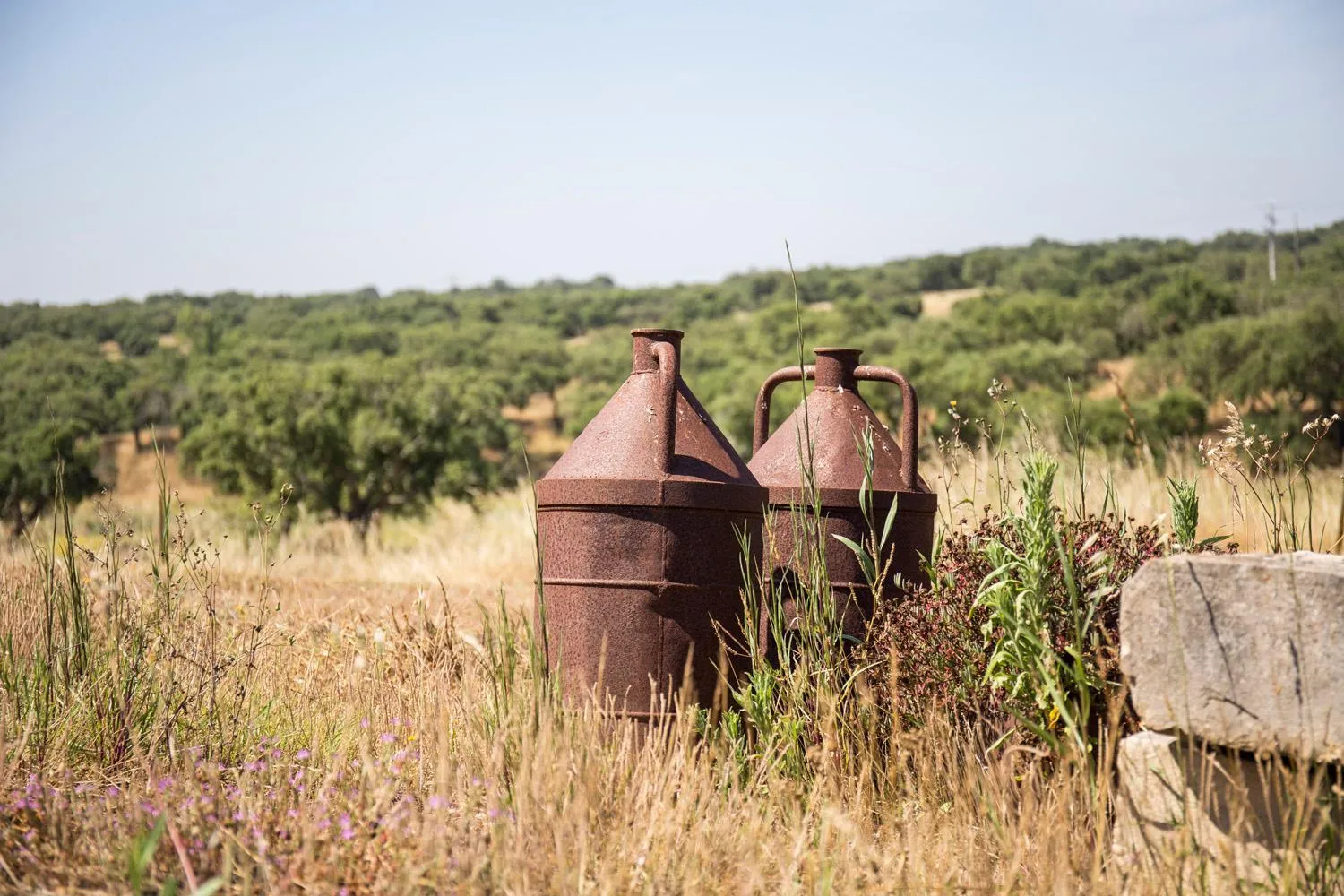 Monte do Giestal - Casas de Campo & Spa