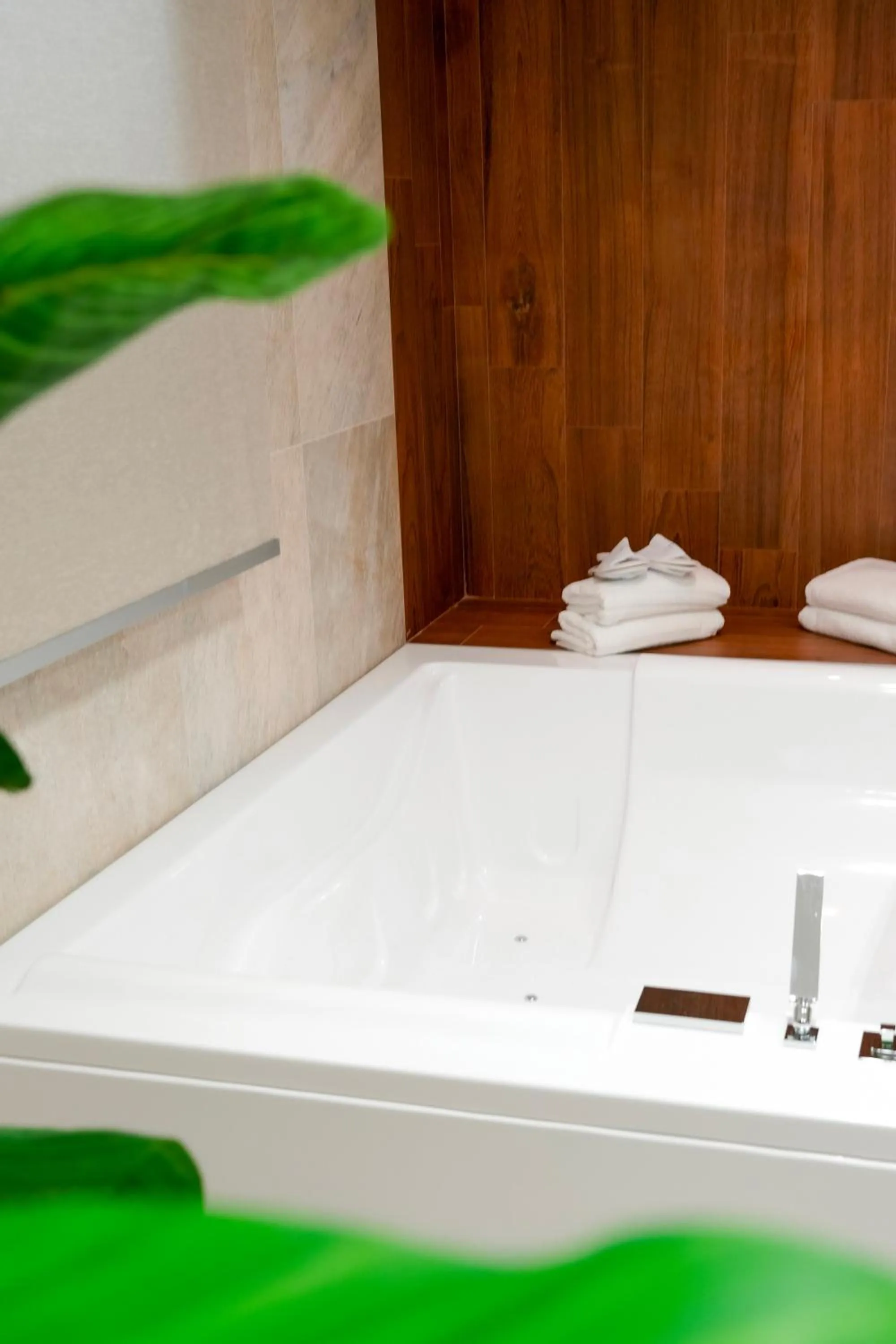 Hot Tub in Plana Hotel