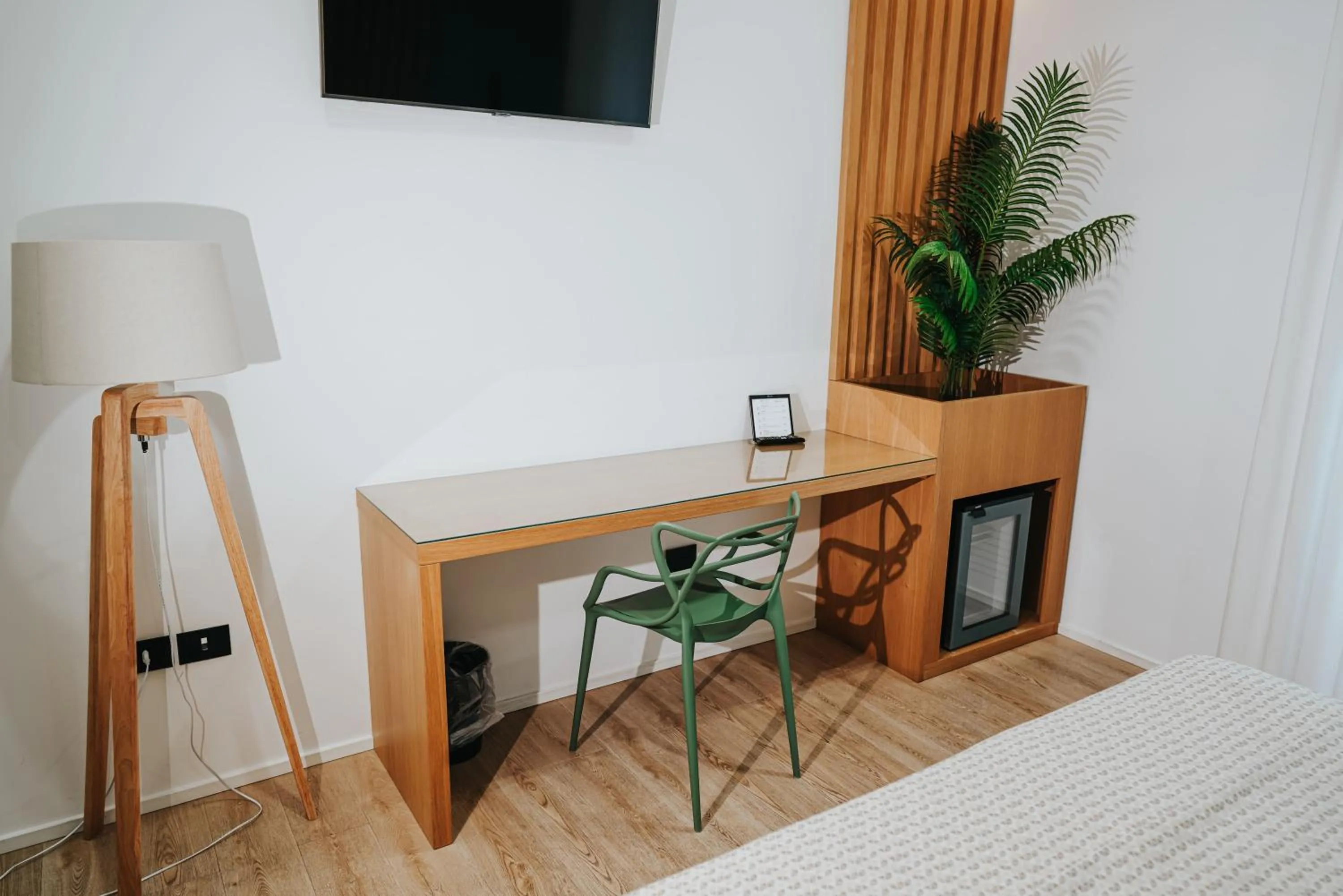 TV and multimedia in Plana Hotel