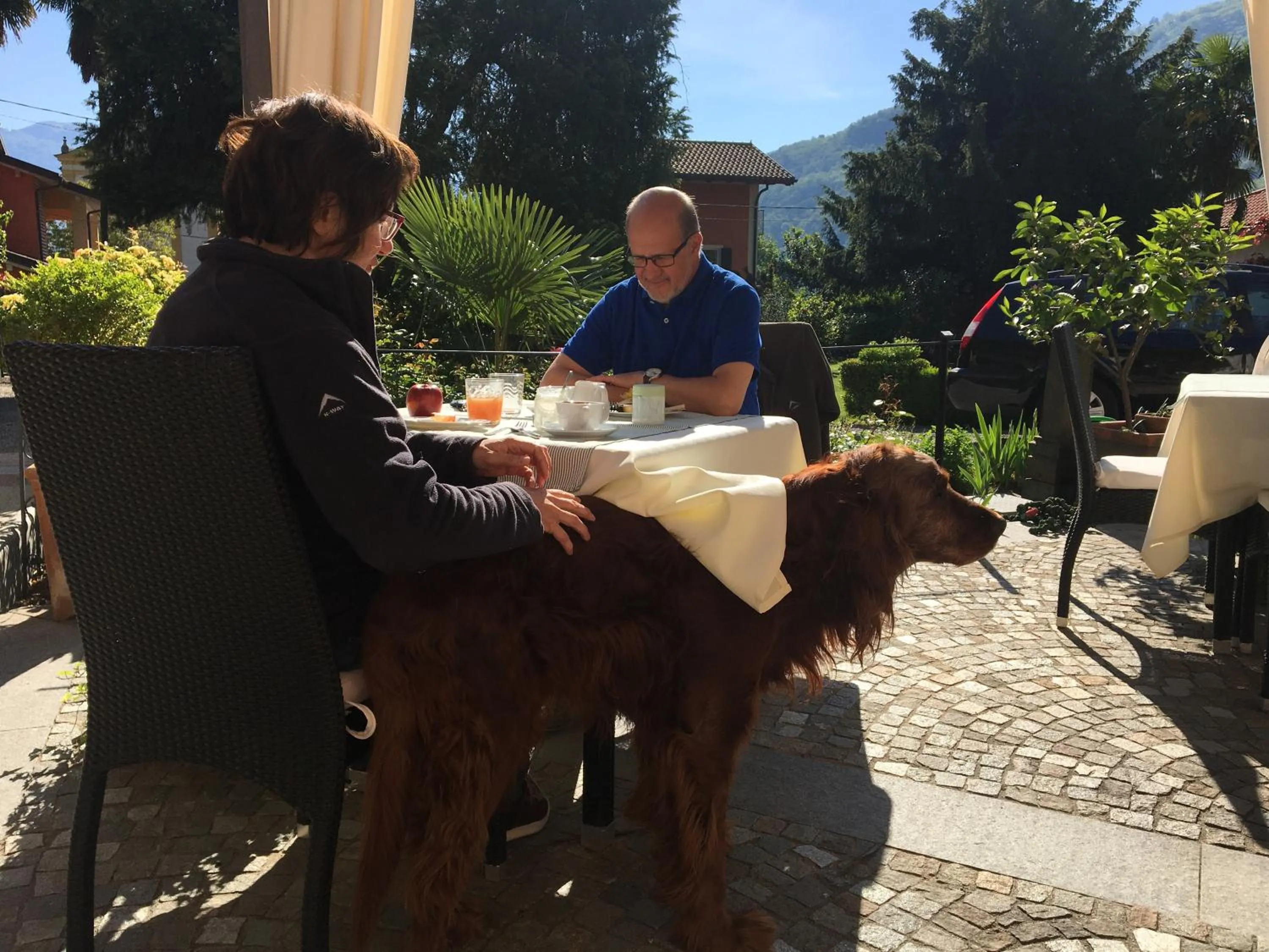 On site in B&B Villa Dei Pini