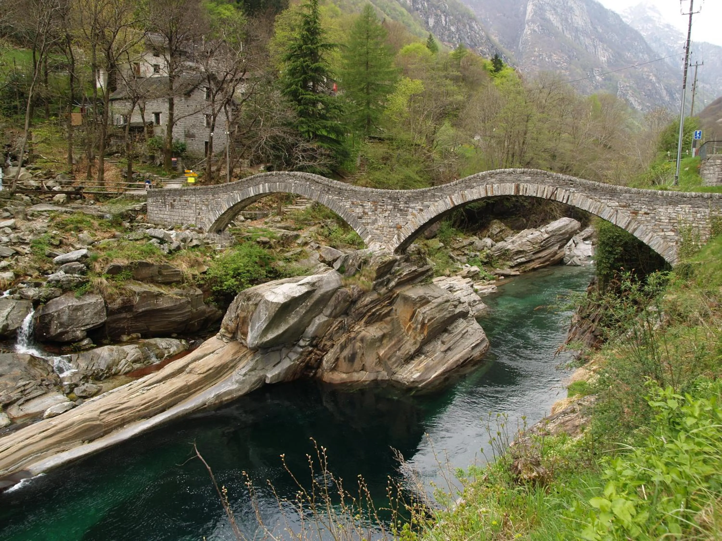 Area and facilities in B&B Villa Dei Pini