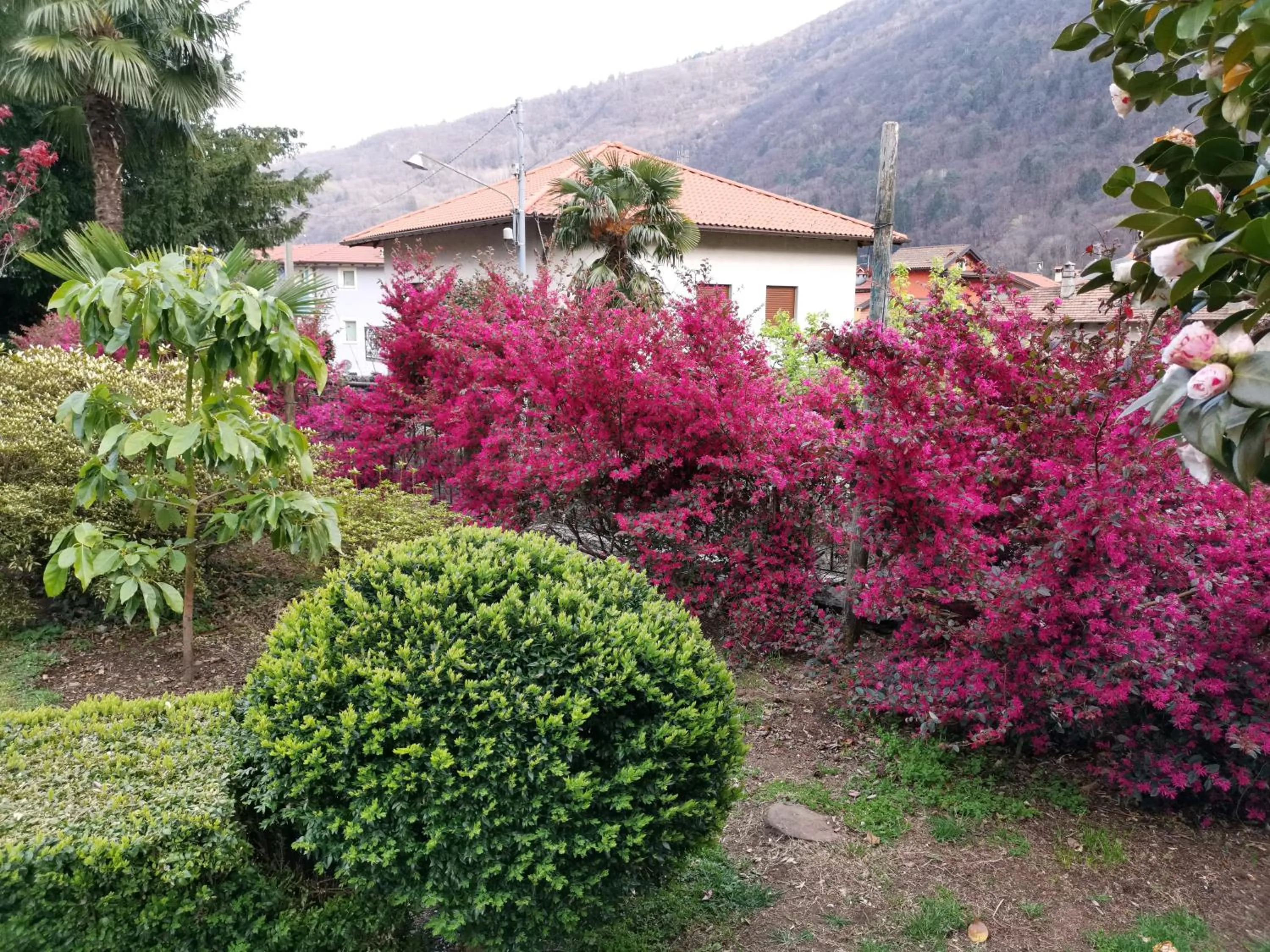 Garden in B&B Villa Dei Pini