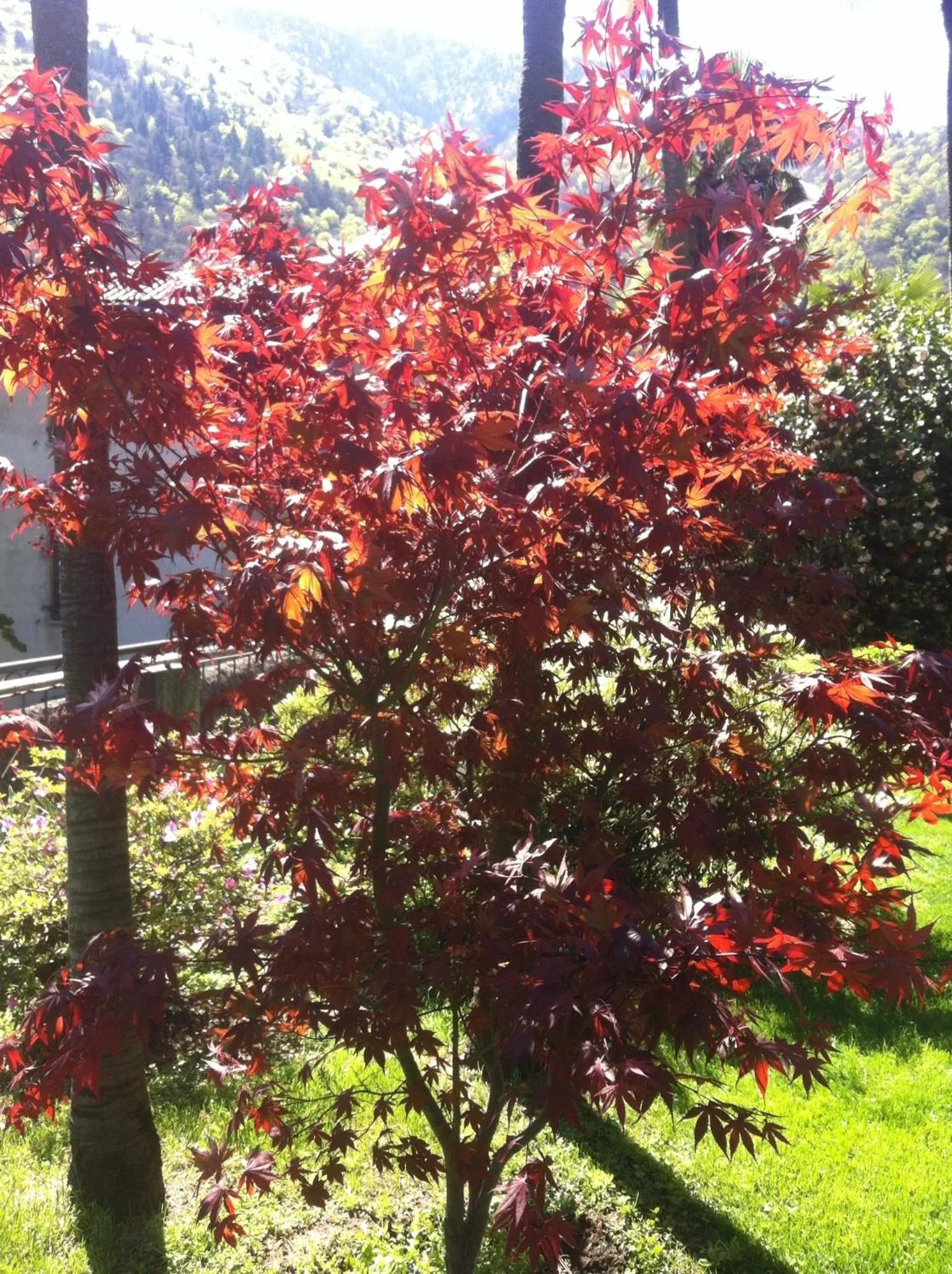 Day in B&B Villa Dei Pini