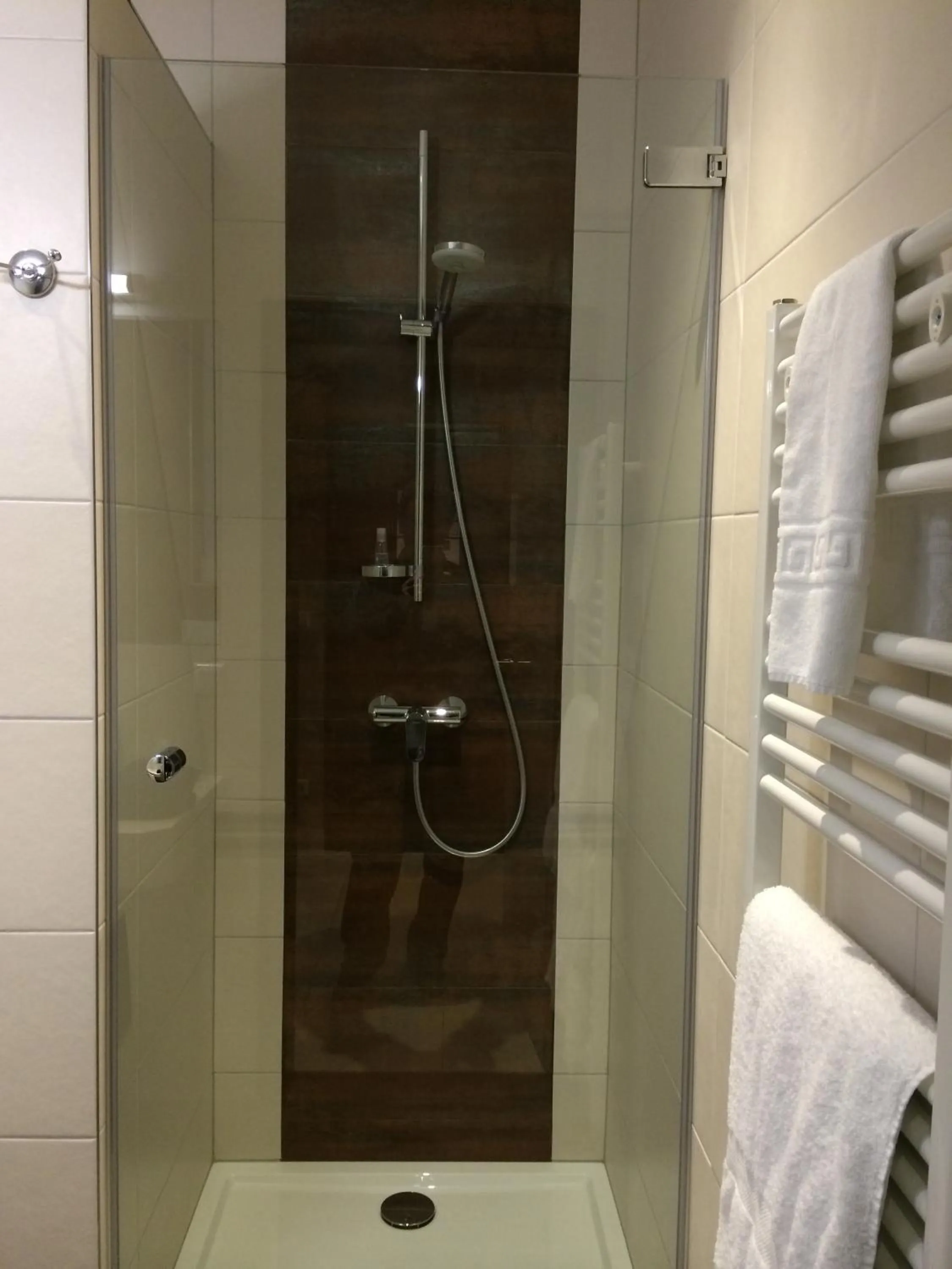 Bathroom in Hotel Pax