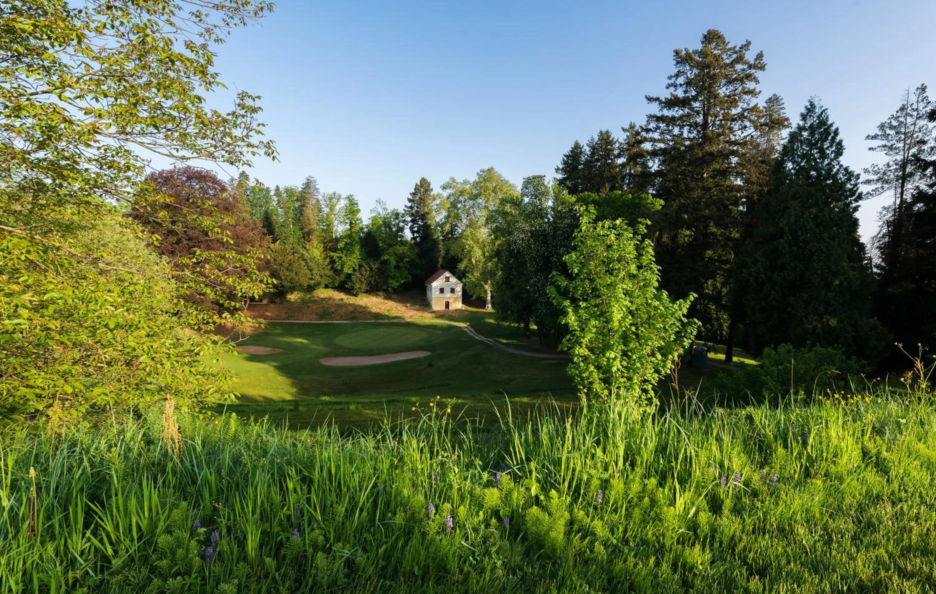 Natural landscape in Mokrice Castle Estate