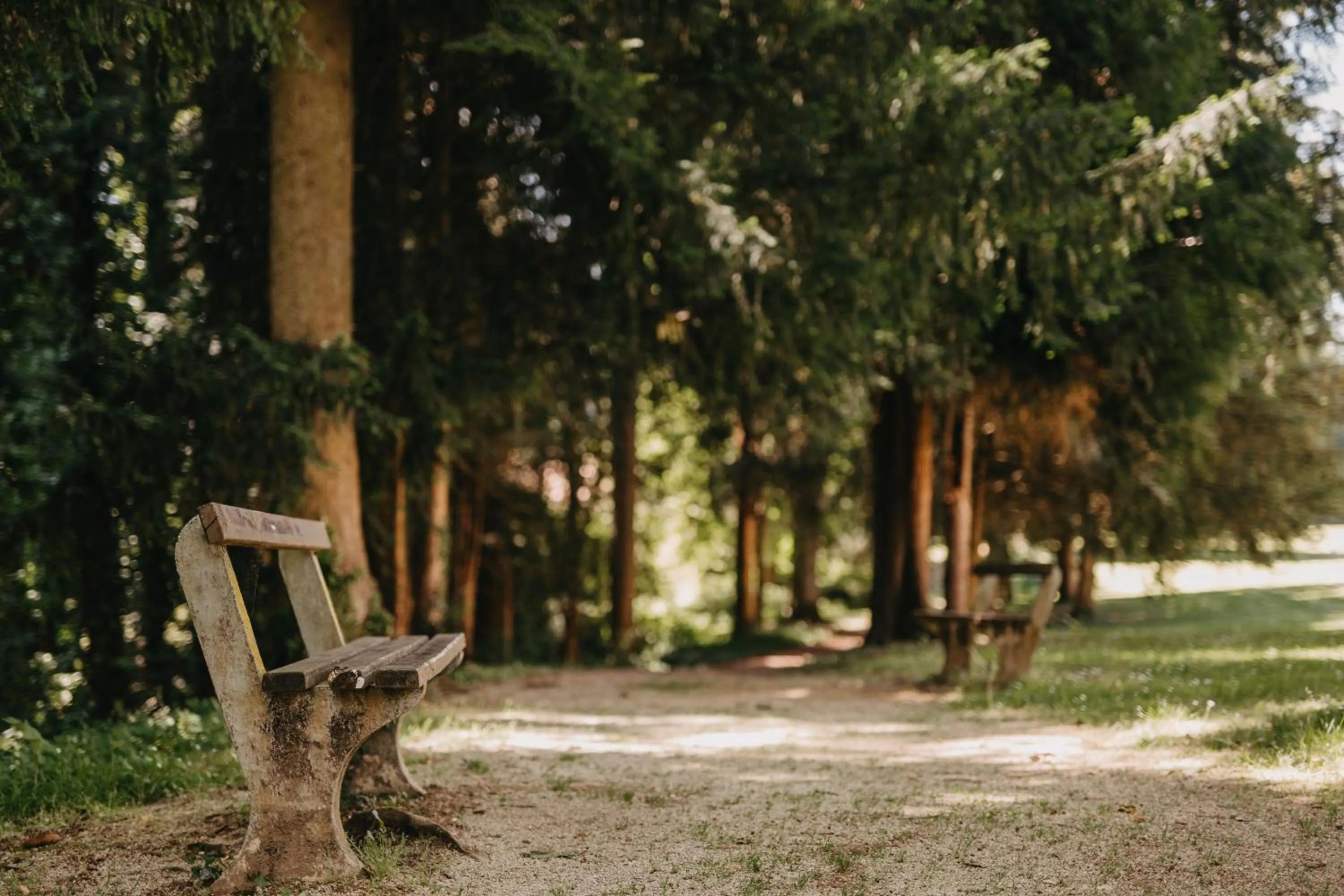 Neighbourhood in Mokrice Castle Estate