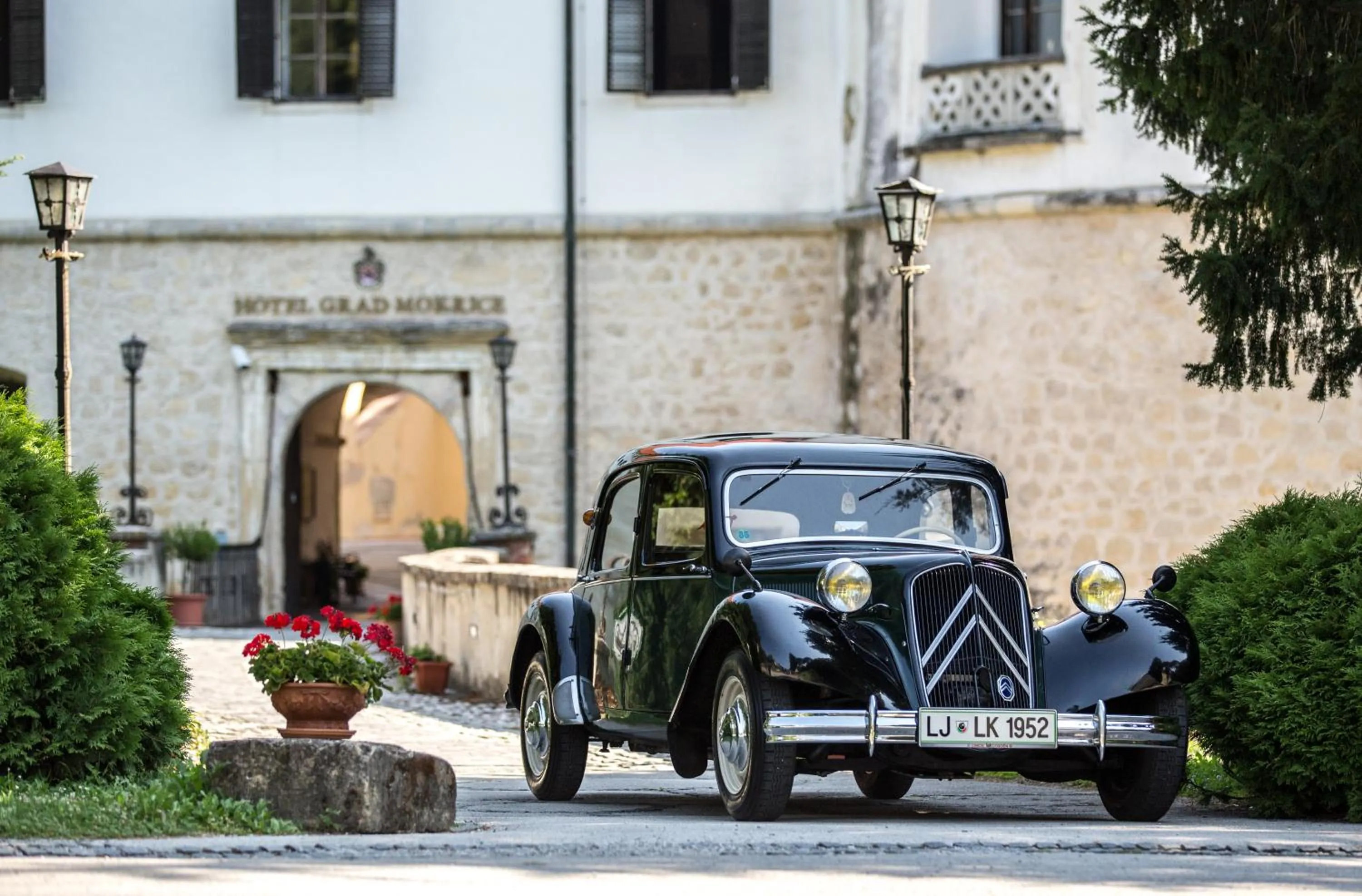 Area and facilities in Mokrice Castle Estate