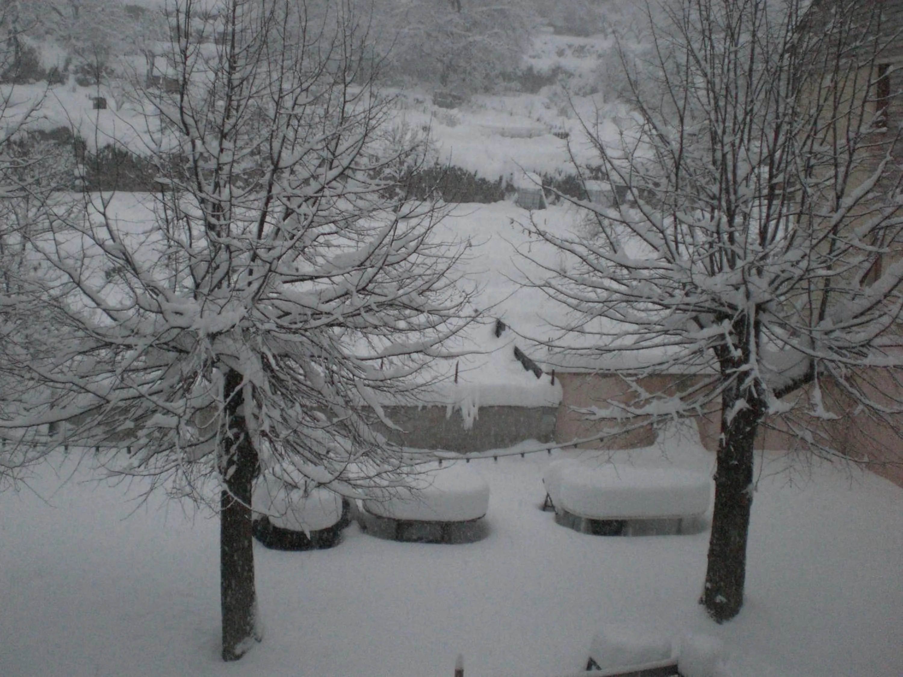 Garden view in Hôtel de Valdeblore