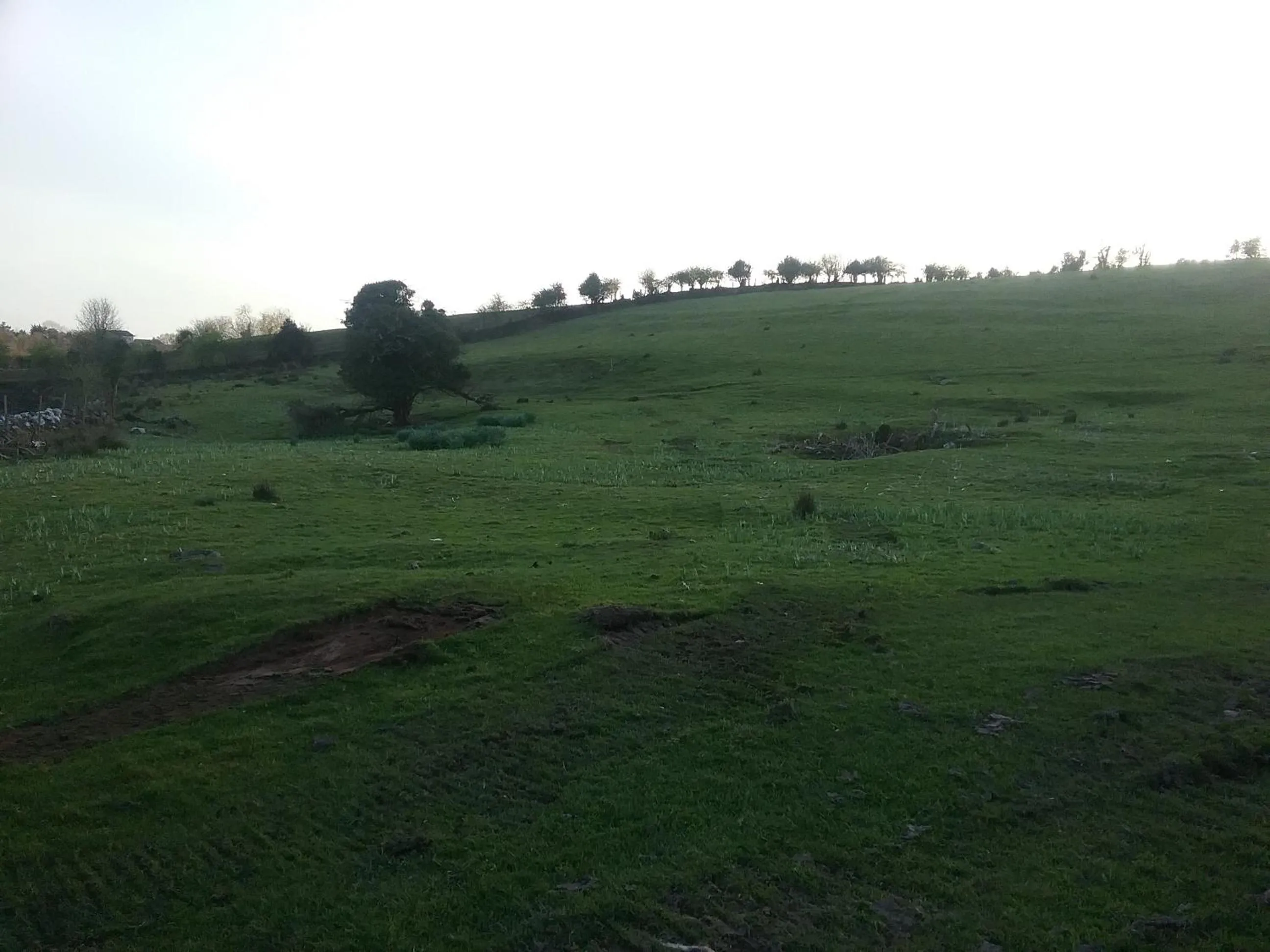 Rocksberry Bed & Breakfast