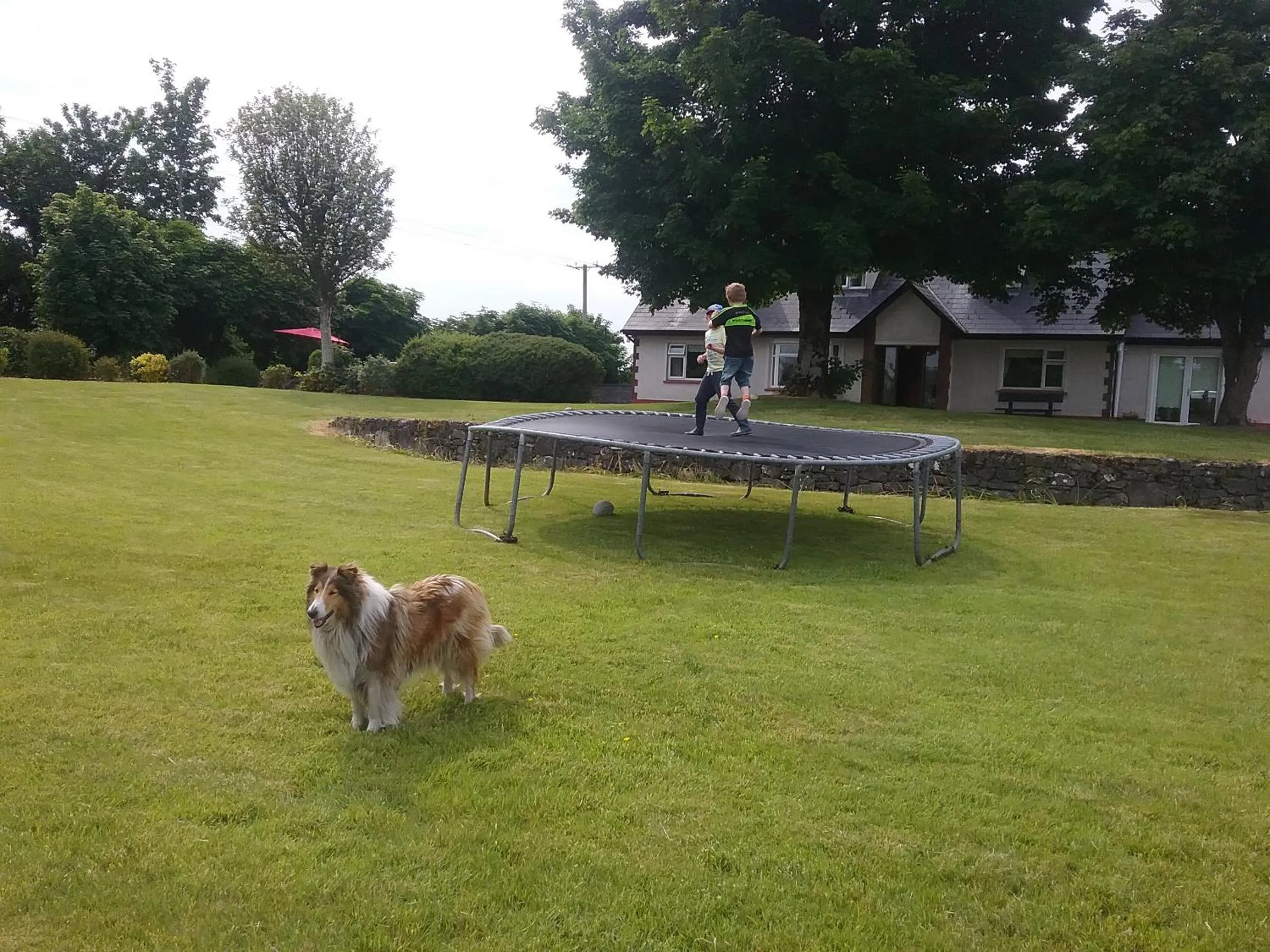 Rocksberry Bed & Breakfast