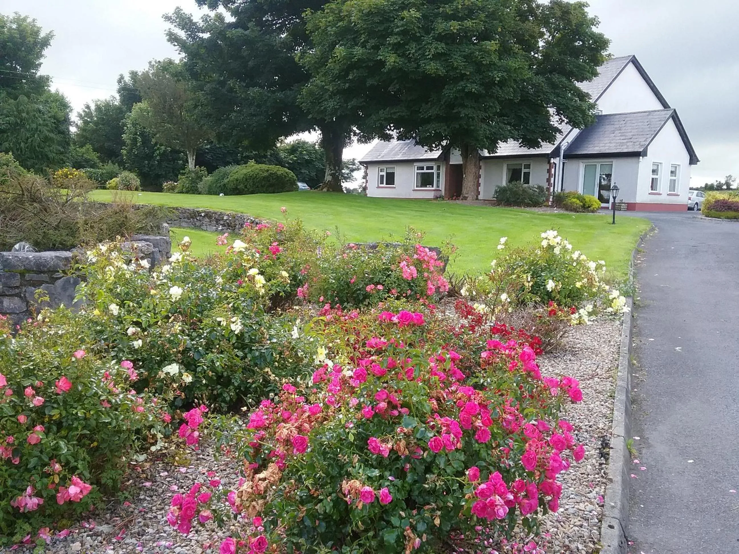 Rocksberry Bed & Breakfast