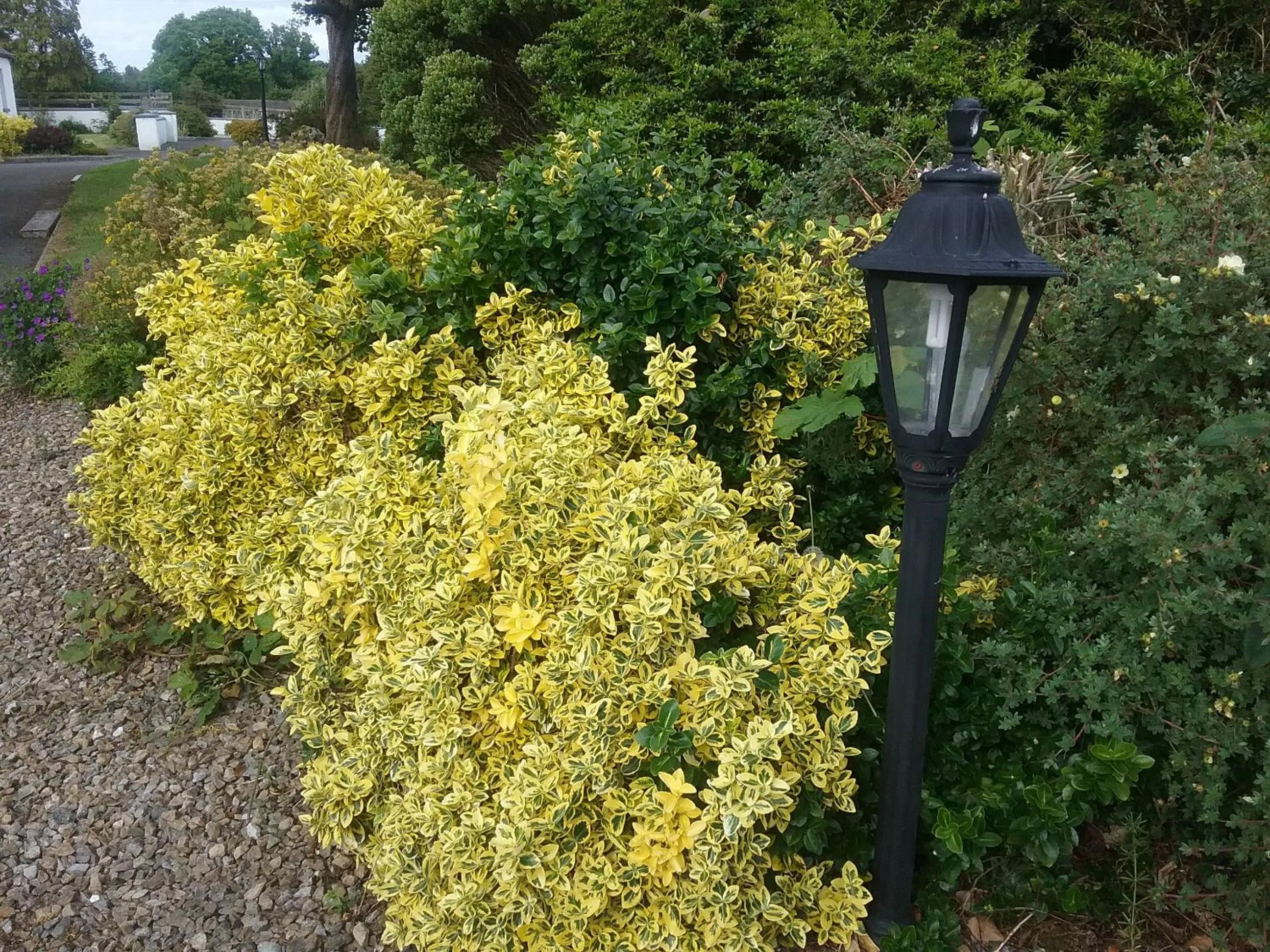 Rocksberry Bed & Breakfast